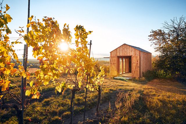 Rosis Hiata Hütte bei Sonnenuntergang - Weingut Hindler