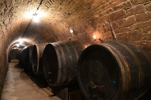 A wine cellar with large wooden barrels on the walls.
