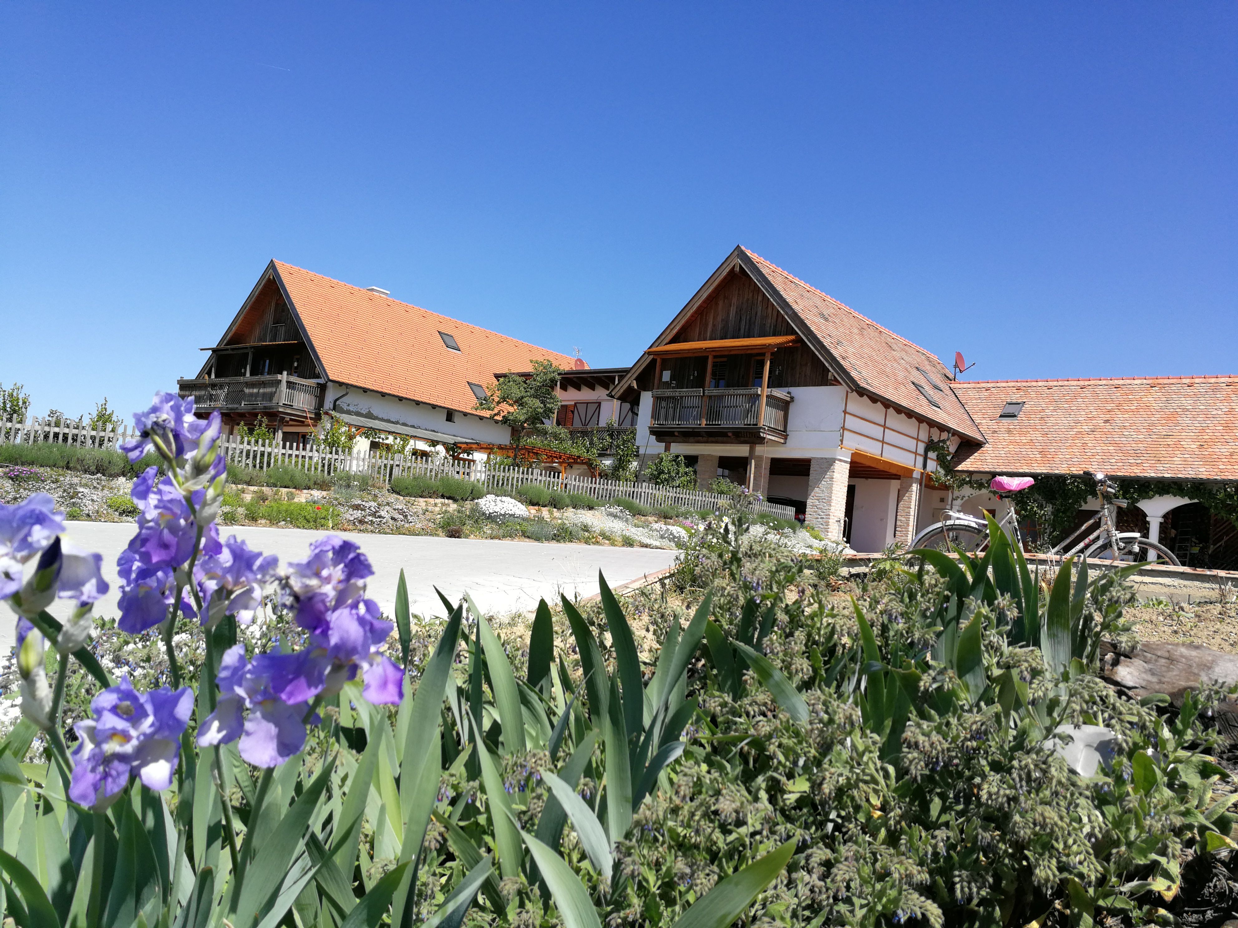 Ein traditionelles Bauernhaus mit roten Ziegeldächern und einem Garten mit lila Blumen im Vordergrund unter klarem, blauem Himmel.