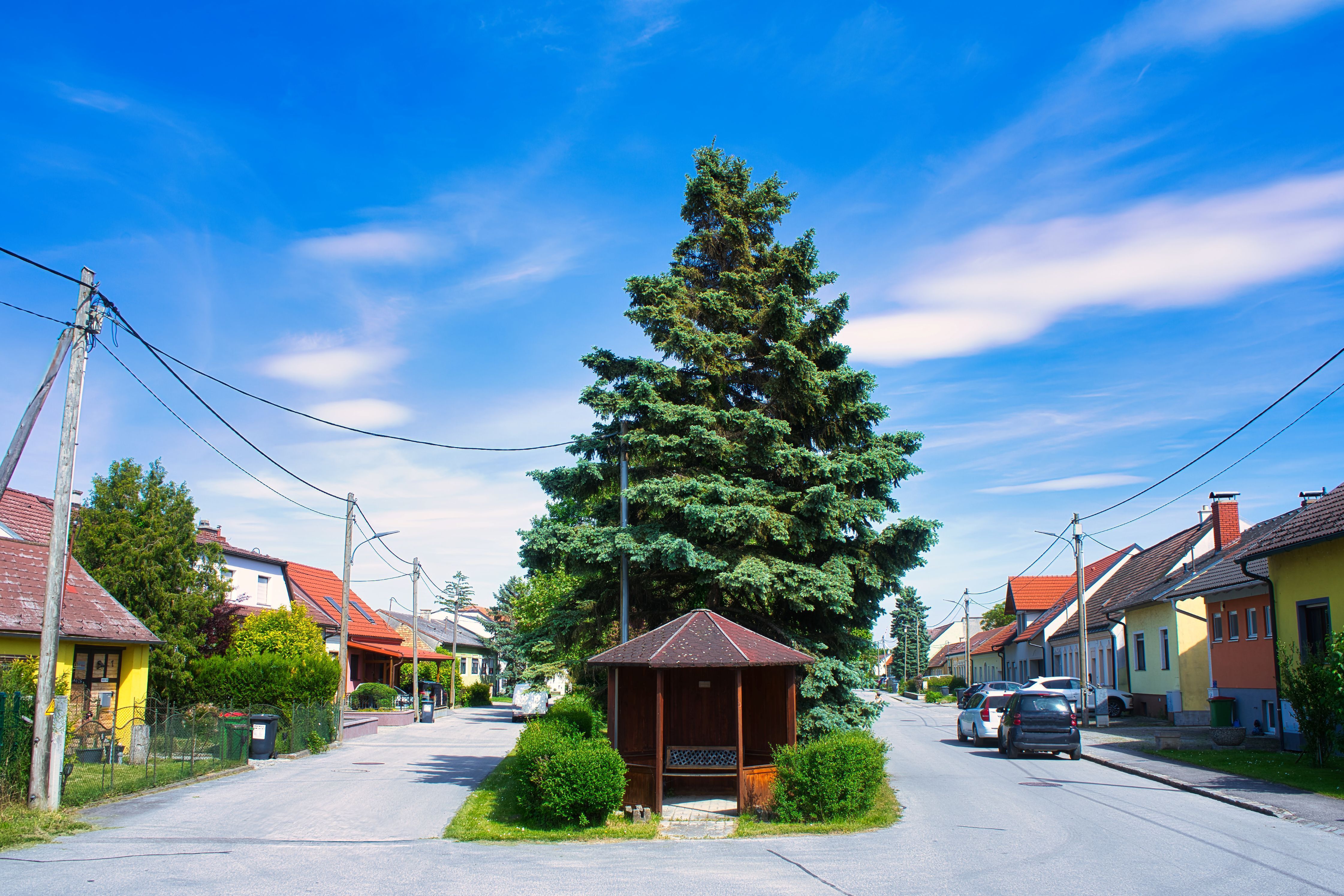 Straßenszene in der Gemeinde Großhofen mit großem Nadelbaum in der Mitte, kleinen Häusern, Stromleitungen und blauem Himmel.
