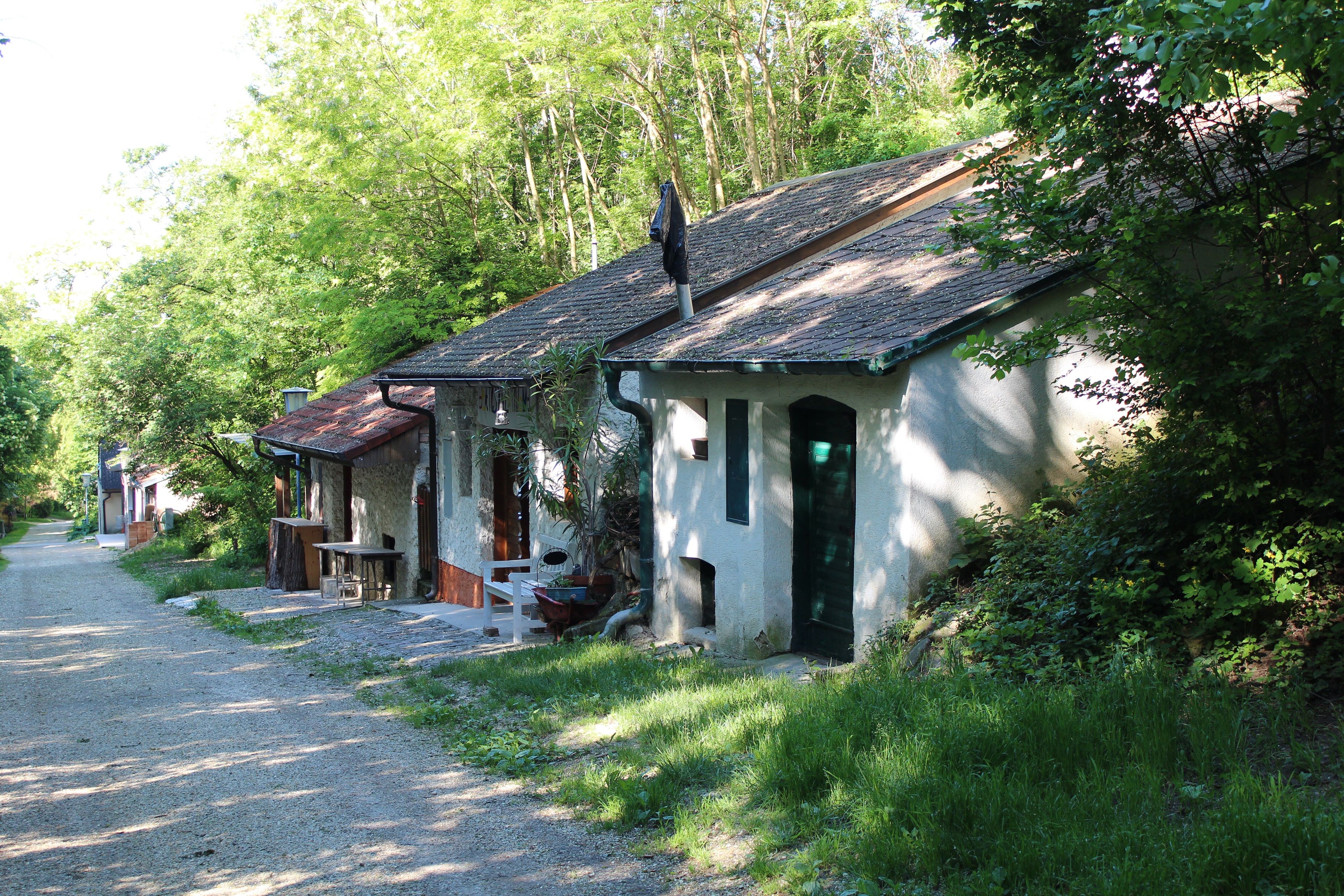 Eine malerische Kellergasse mit alten Weinkellern und grüner Vegetation in Wolkersdorf.