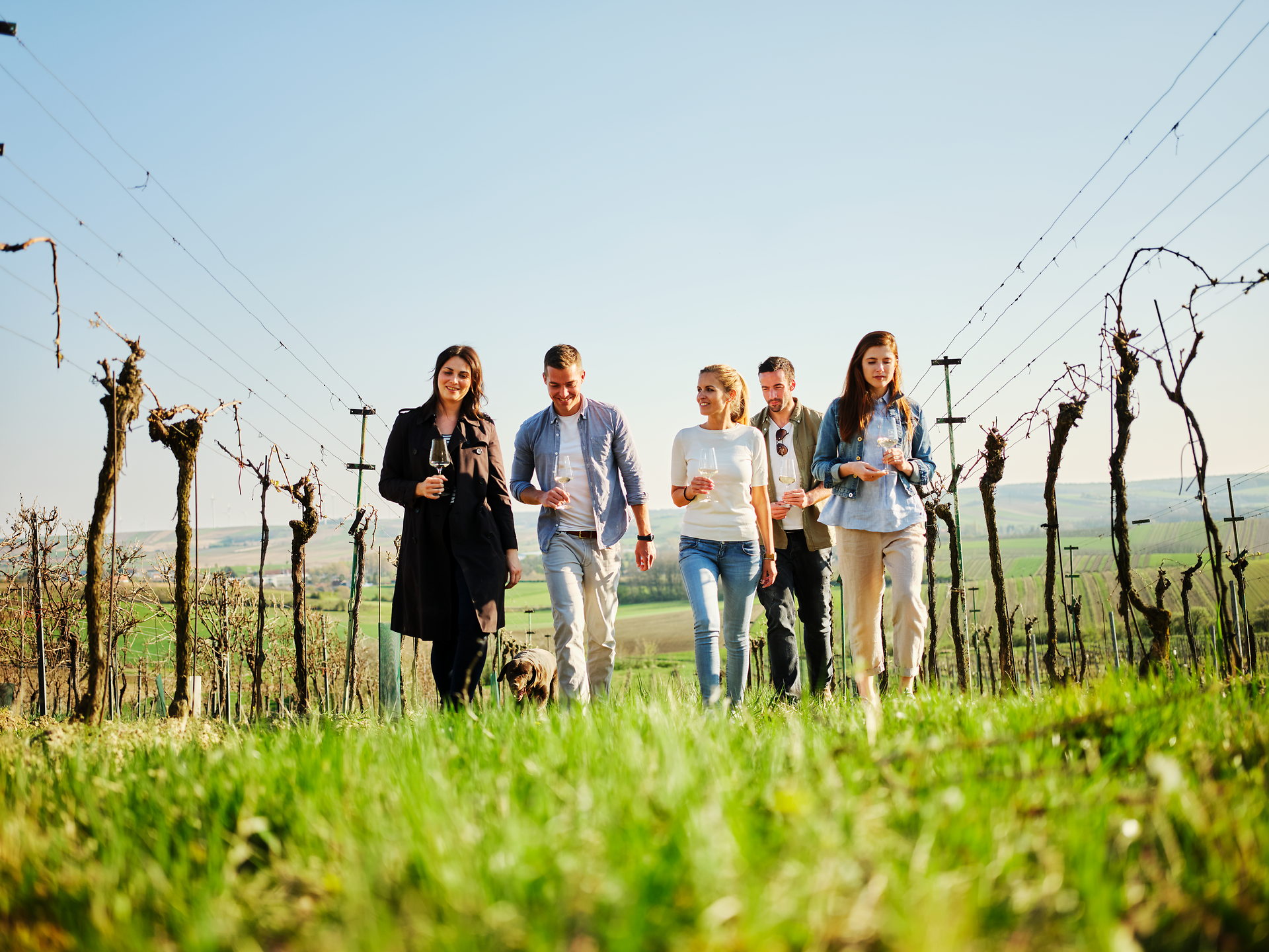 Eine Gruppe von Freunden genießt den Frühling inmitten der sanften Hügel und Weinreben. Lachen und fröhliche Gespräche erfüllen die Luft, während sie die malerische Landschaft des Weinviertels erkunden. Der Duft von blühenden Pflanzen und frischem Gras schafft eine einladende Atmosphäre für unvergessliche Erlebnisse.