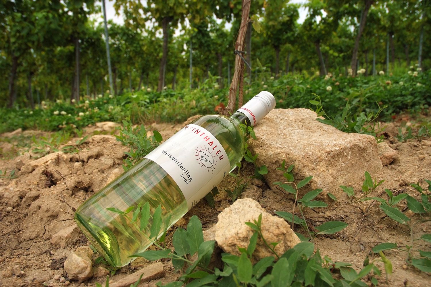 Reinthaler Weine