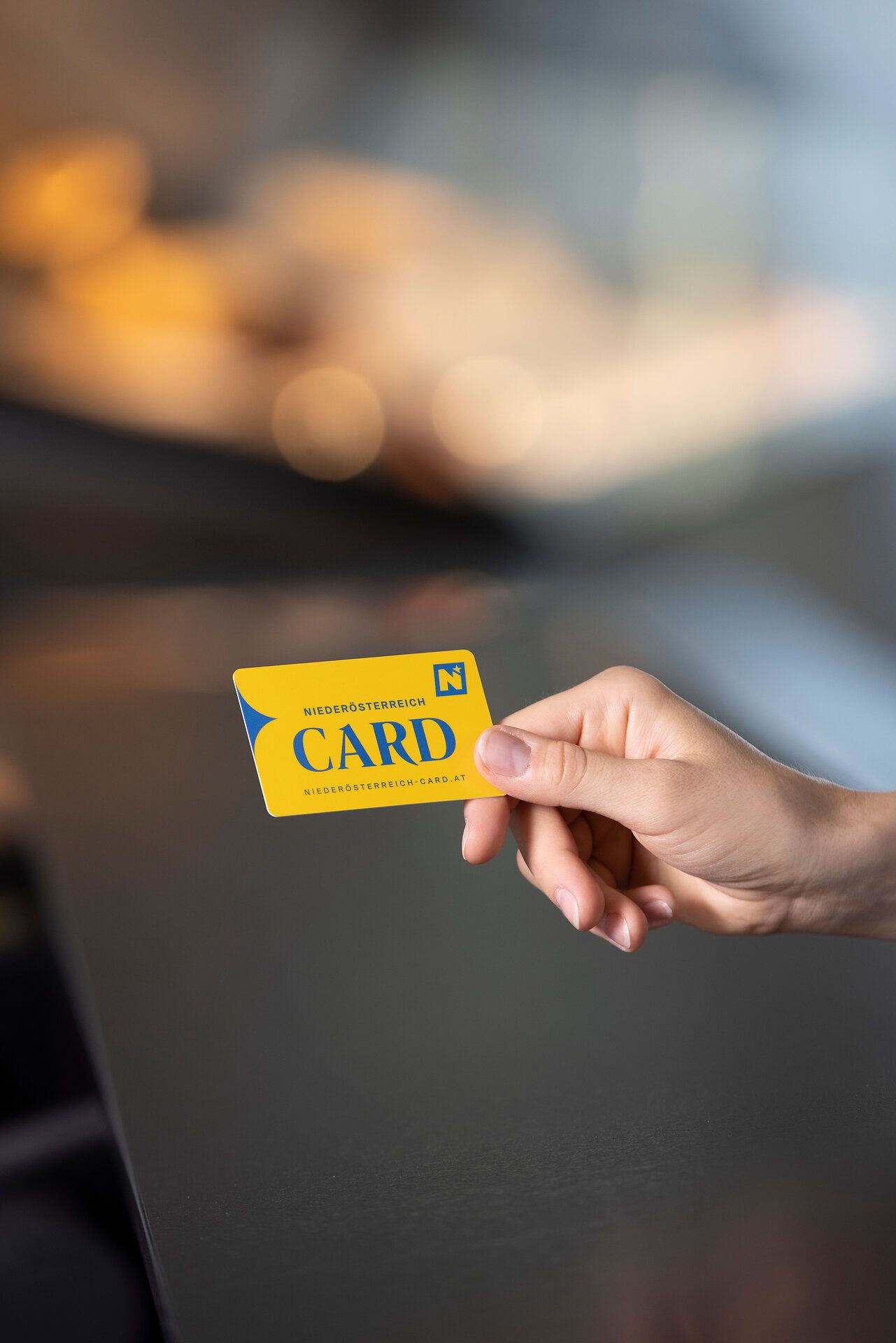 Die Niederösterreich-CARD öffnet die Türen zu unvergesslichen Erlebnissen in der Natur. Entdecken Sie atemberaubende Landschaften, während Sie von einer Hütte zur nächsten hüpfen und die frische Bergluft genießen. Ein Sommer voller Abenteuer und malerischer Ausblicke erwartet Sie.