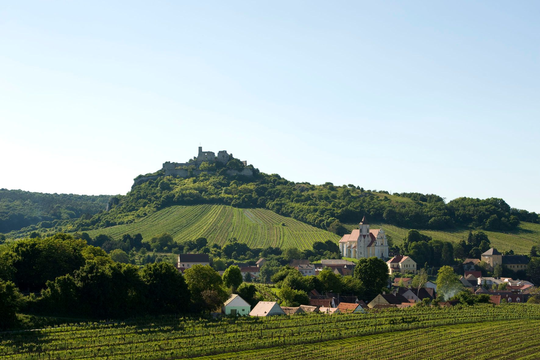 Landscape with castle on a hill, vineyards and village with church in the foreground.