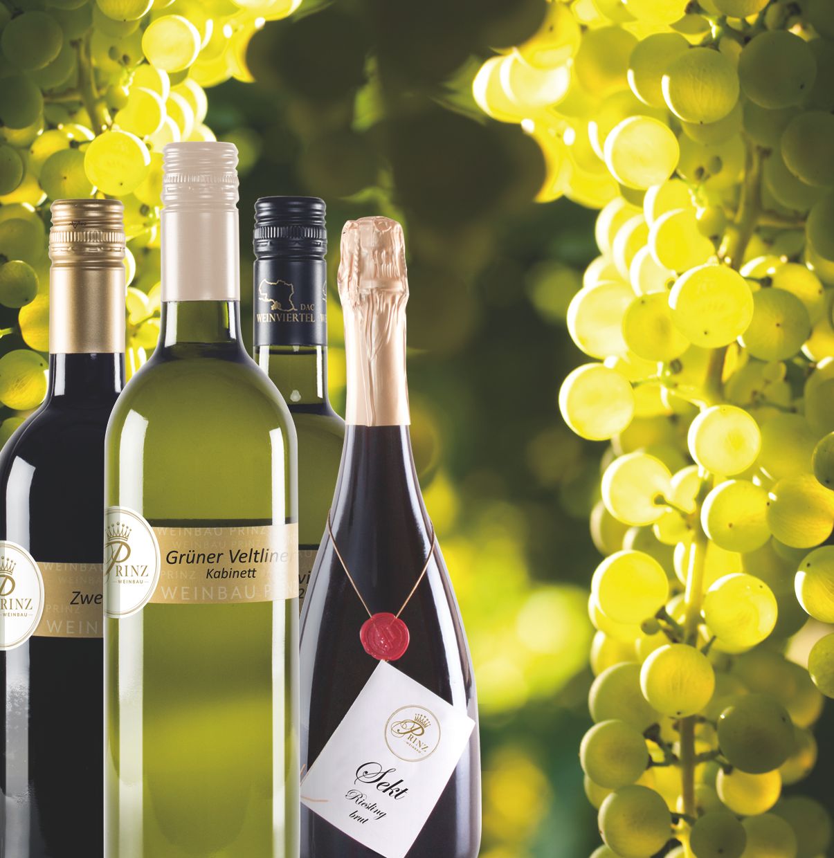Weinflaschen vor einem Hintergrund aus grünen Weintrauben.