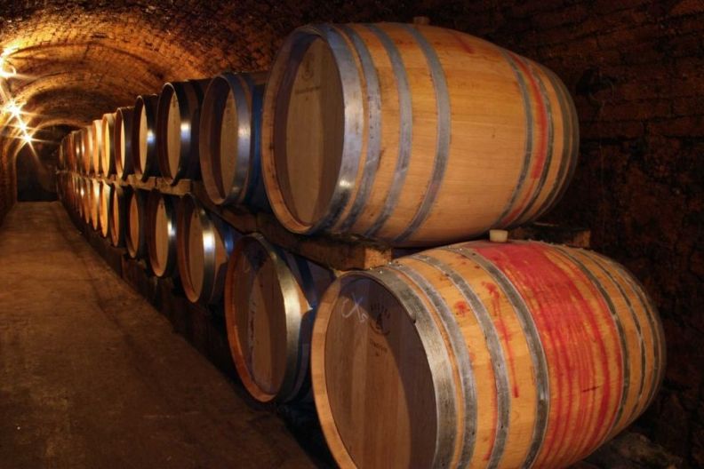 Wine barrels stacked in a wine cellar.
