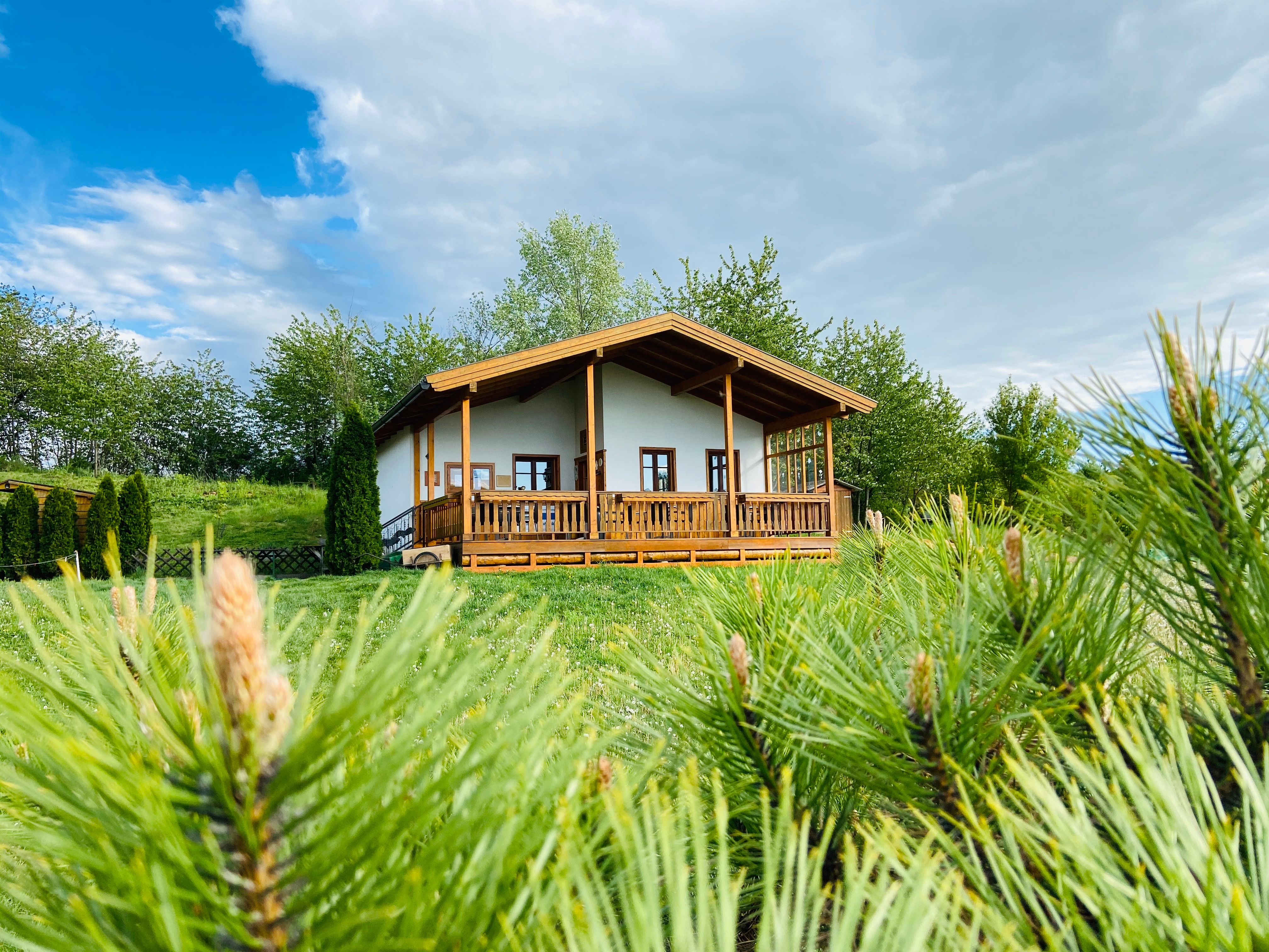 Ein kleines Holzhaus mit Veranda steht auf einer grünen Wiese, umgeben von Bäumen und Sträuchern unter einem bewölkten Himmel.
