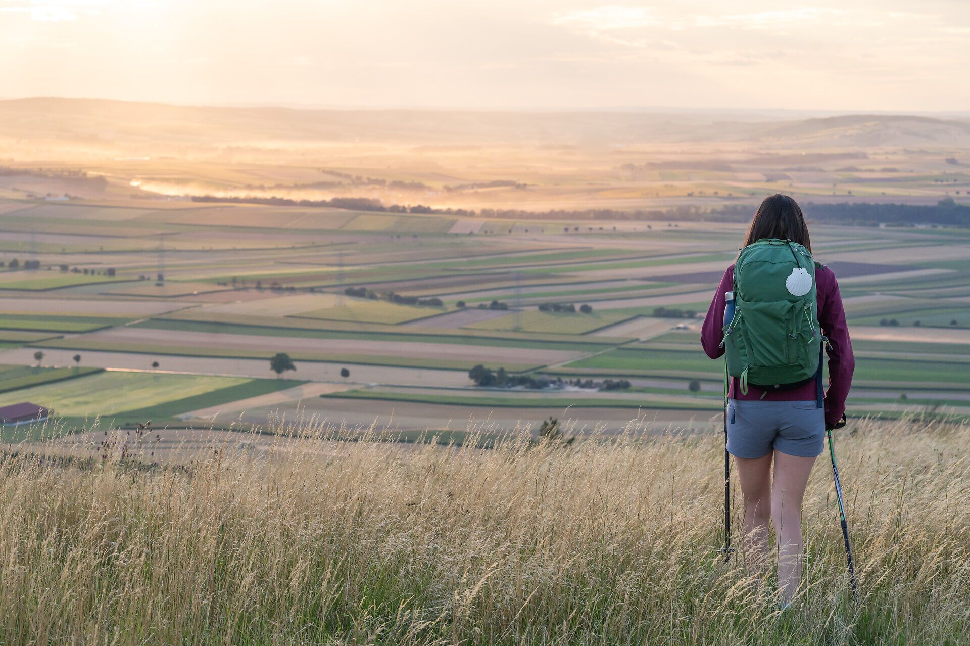 Eine Wanderin mit Rucksack und Jakobswegmuschel pilgert mit Blick auf die sanft-hügelige Landschaft durch das Weinviertel.