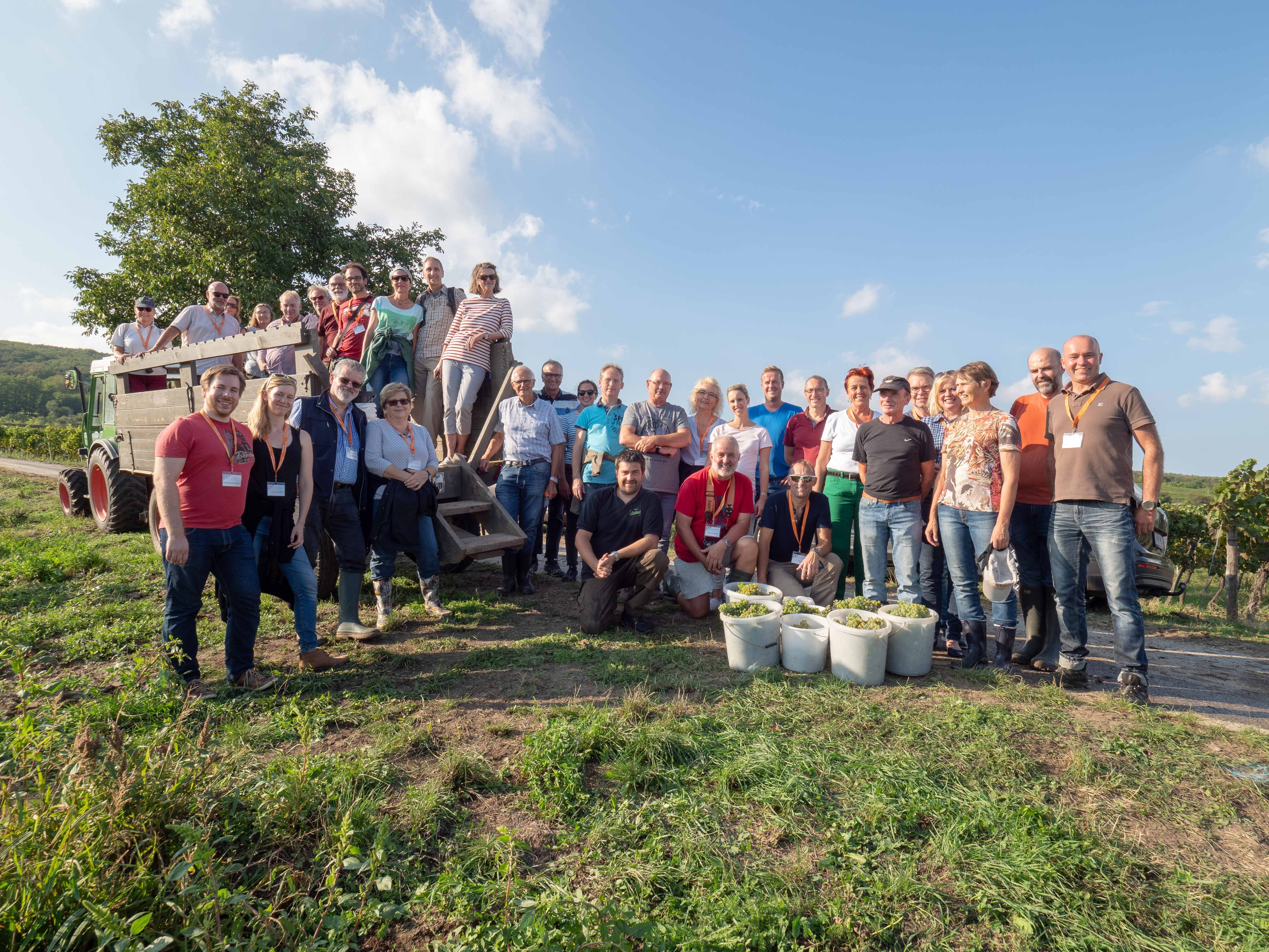 Rent a Rebstock Gruppe nach der Laubarbeit