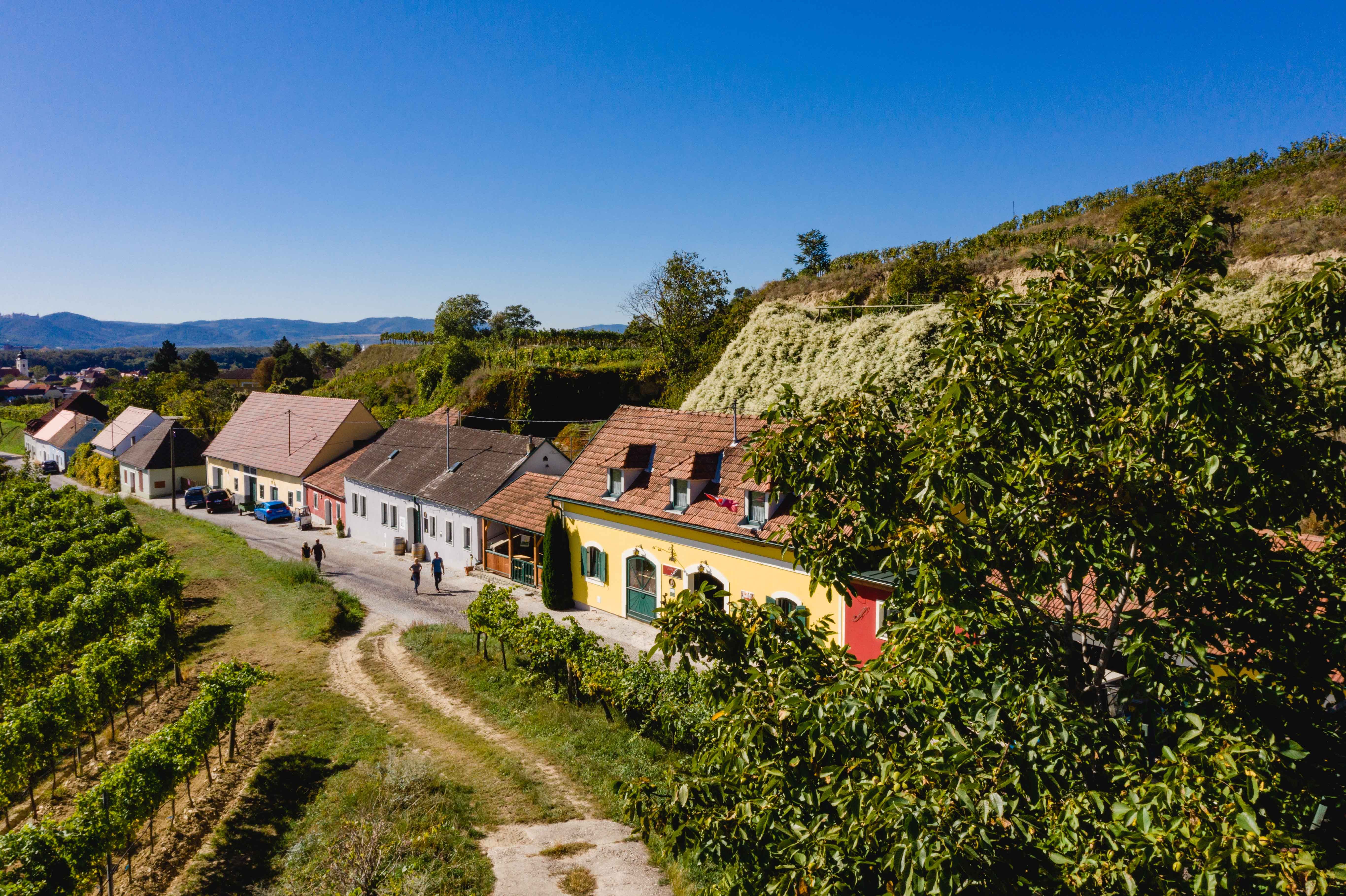 Kellergasse in Rohrendorf