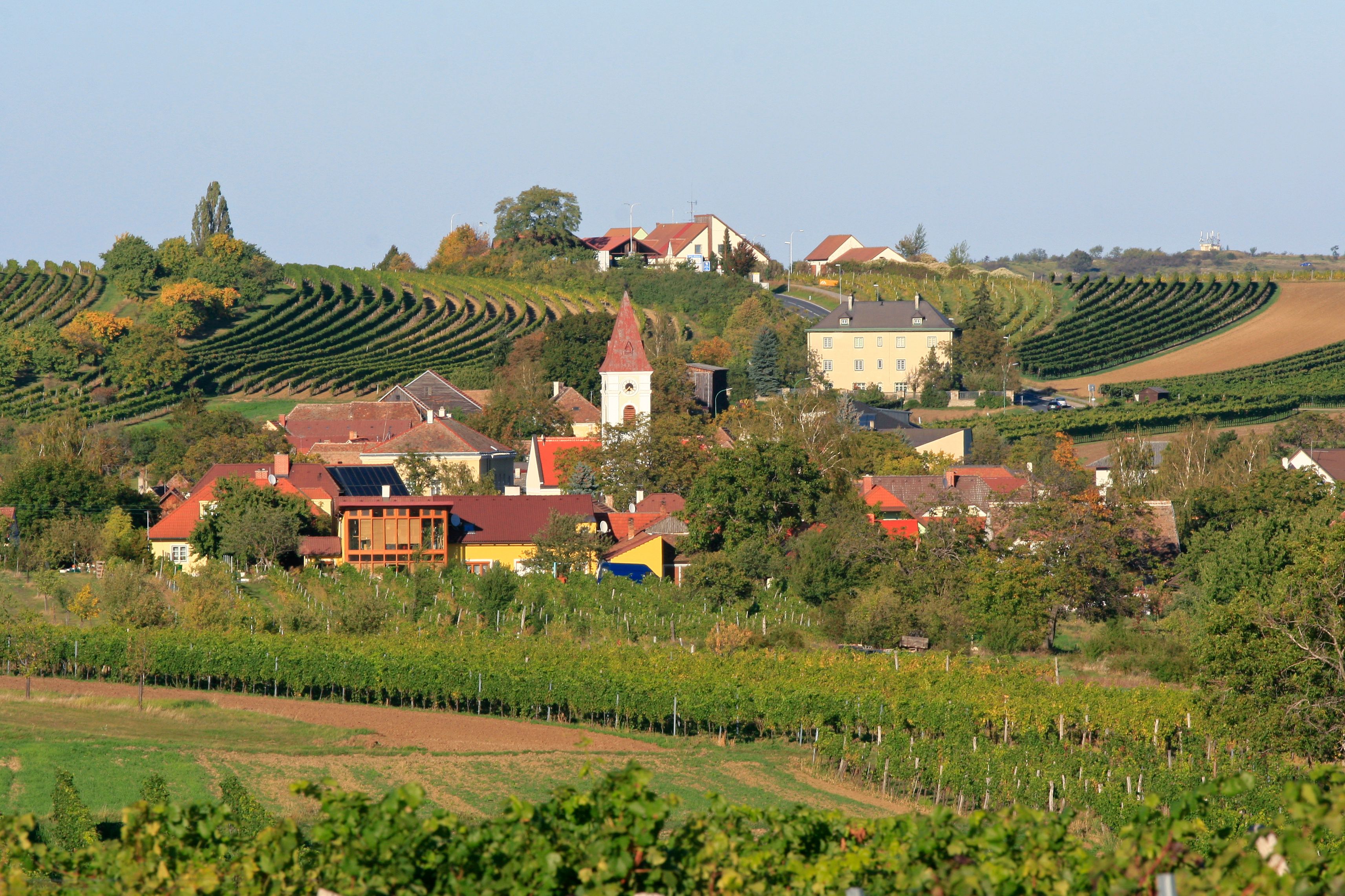 View of the village of Mitterretzbach with vineyards in the background.