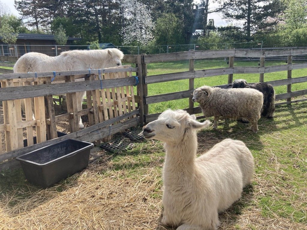 ITA-Tierpflege