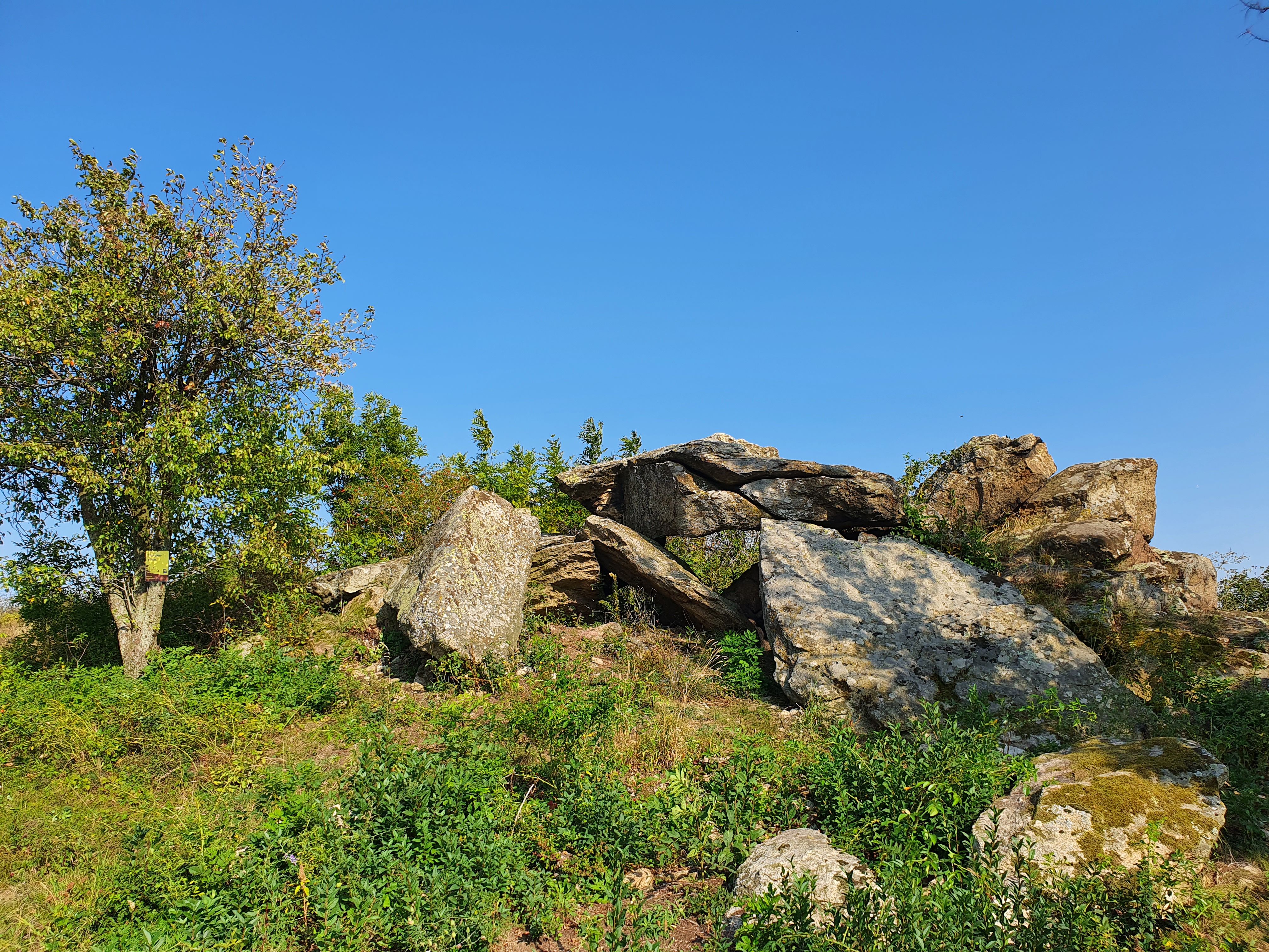 Felsformation mit Baum und Vegetation unter klarem Himmel.