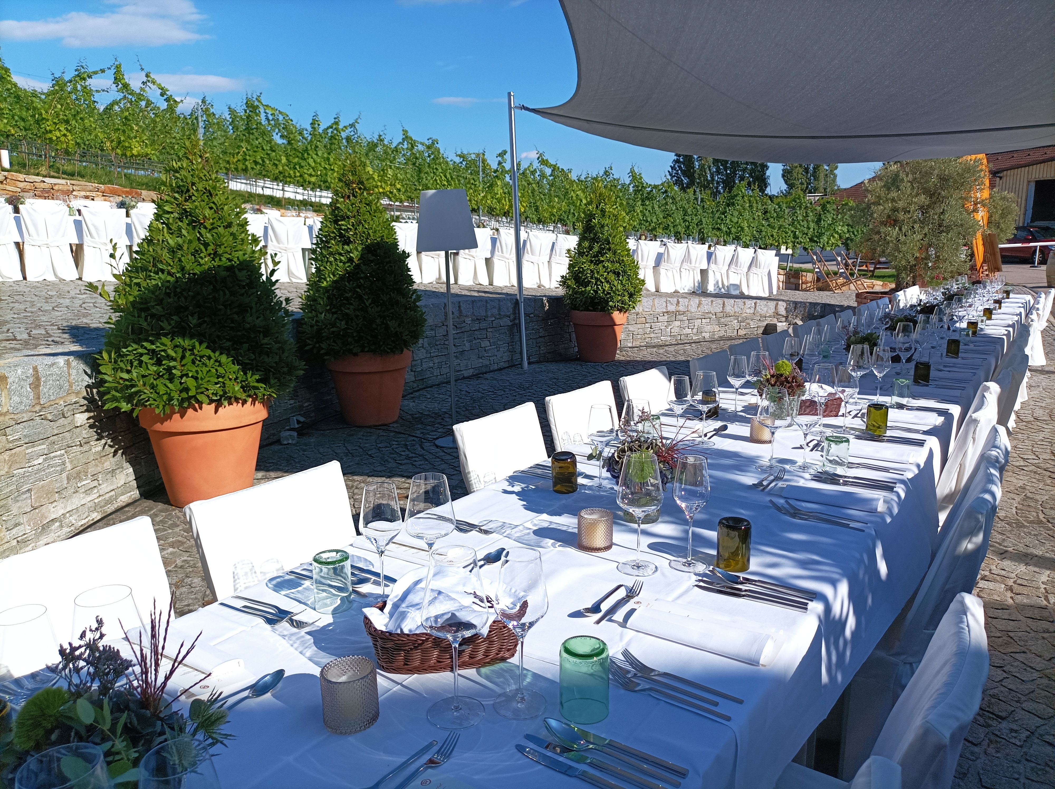Langer, festlich gedeckter Tisch im Freien mit weißen Tischdecken und Stühlen, umgeben von Pflanzen und Weinreben.