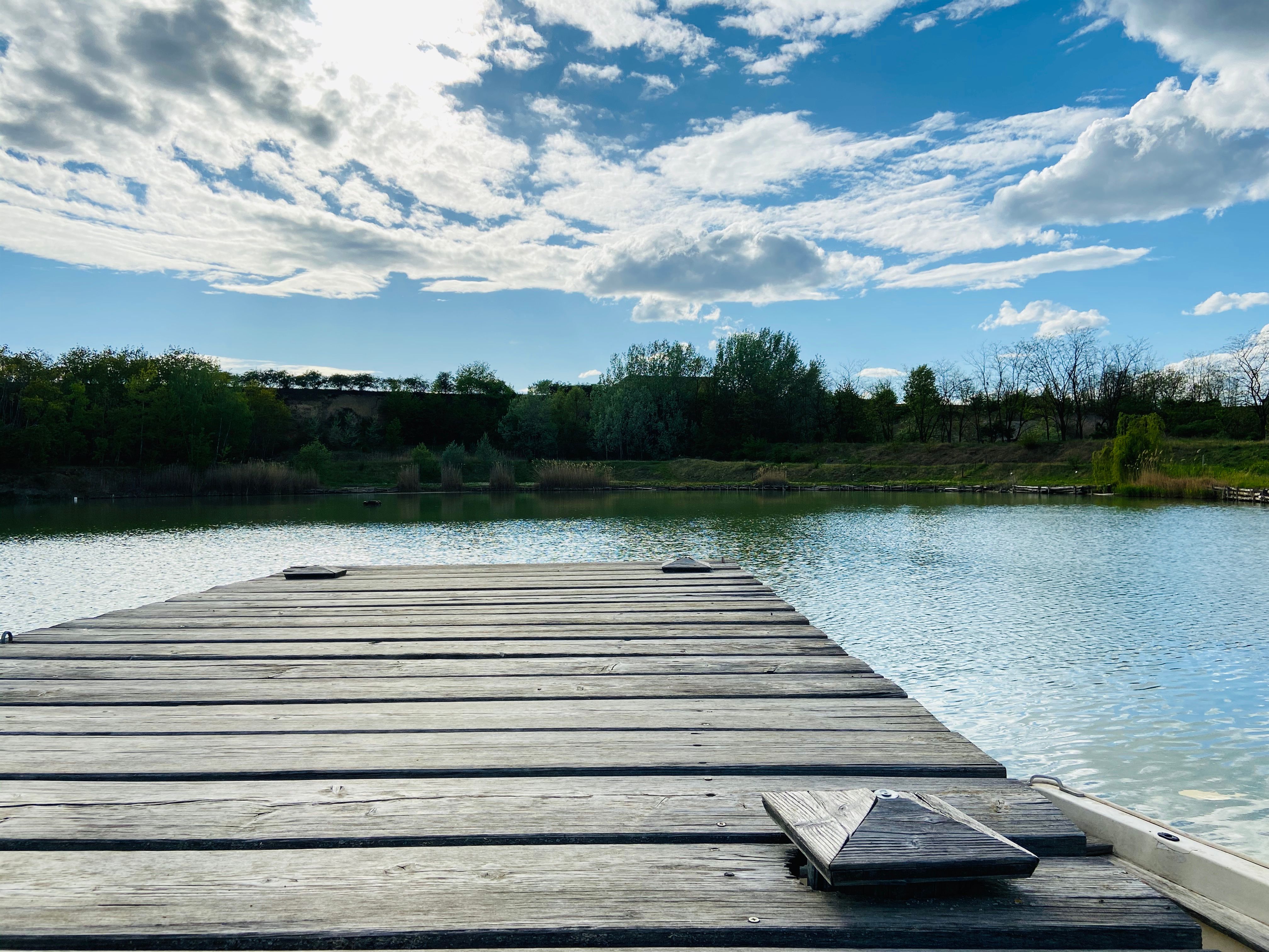 Holzsteg am Ziegelofenteich in Zellerndorf, umgeben von Bäumen und blauem Himmel mit Wolken.