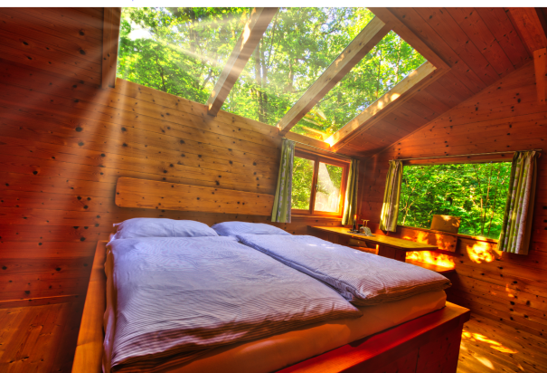 Ein gemütliches Schlafzimmer mit Holzwänden und einem Glasdach, durch das Sonnenstrahlen scheinen. Ein Bett steht im Raum, umgeben von grüner Natur.