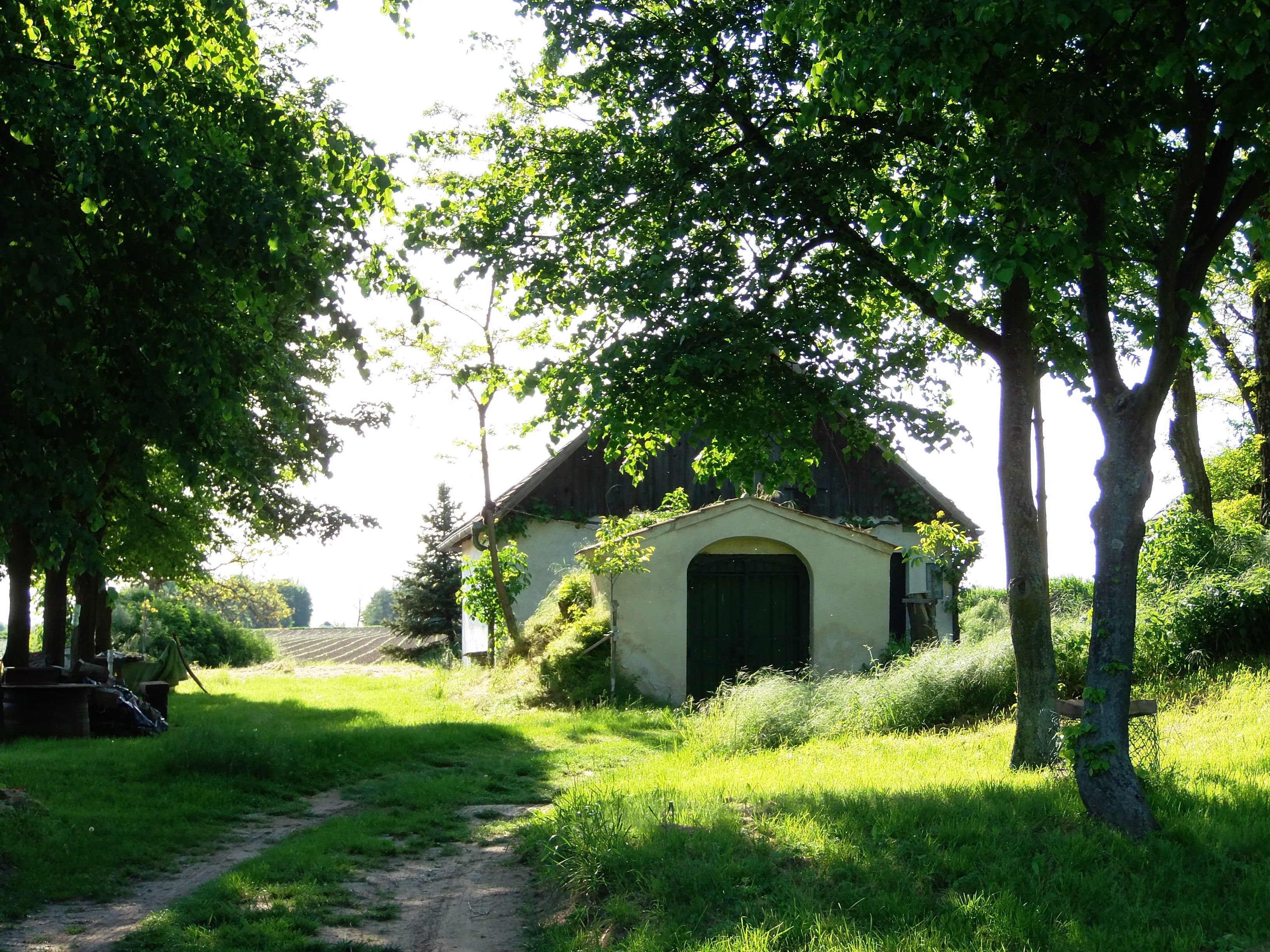 Ein Weinkeller in einer grünen Landschaft mit Bäumen und Wiese im Weinviertel.