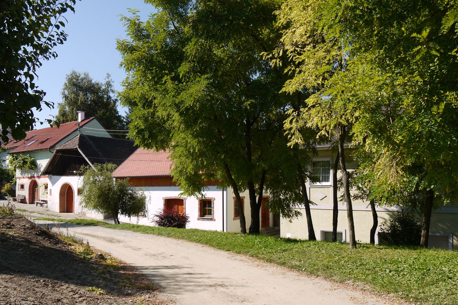 Eine malerische Kellergasse mit traditionellen Gebäuden und Bäumen.