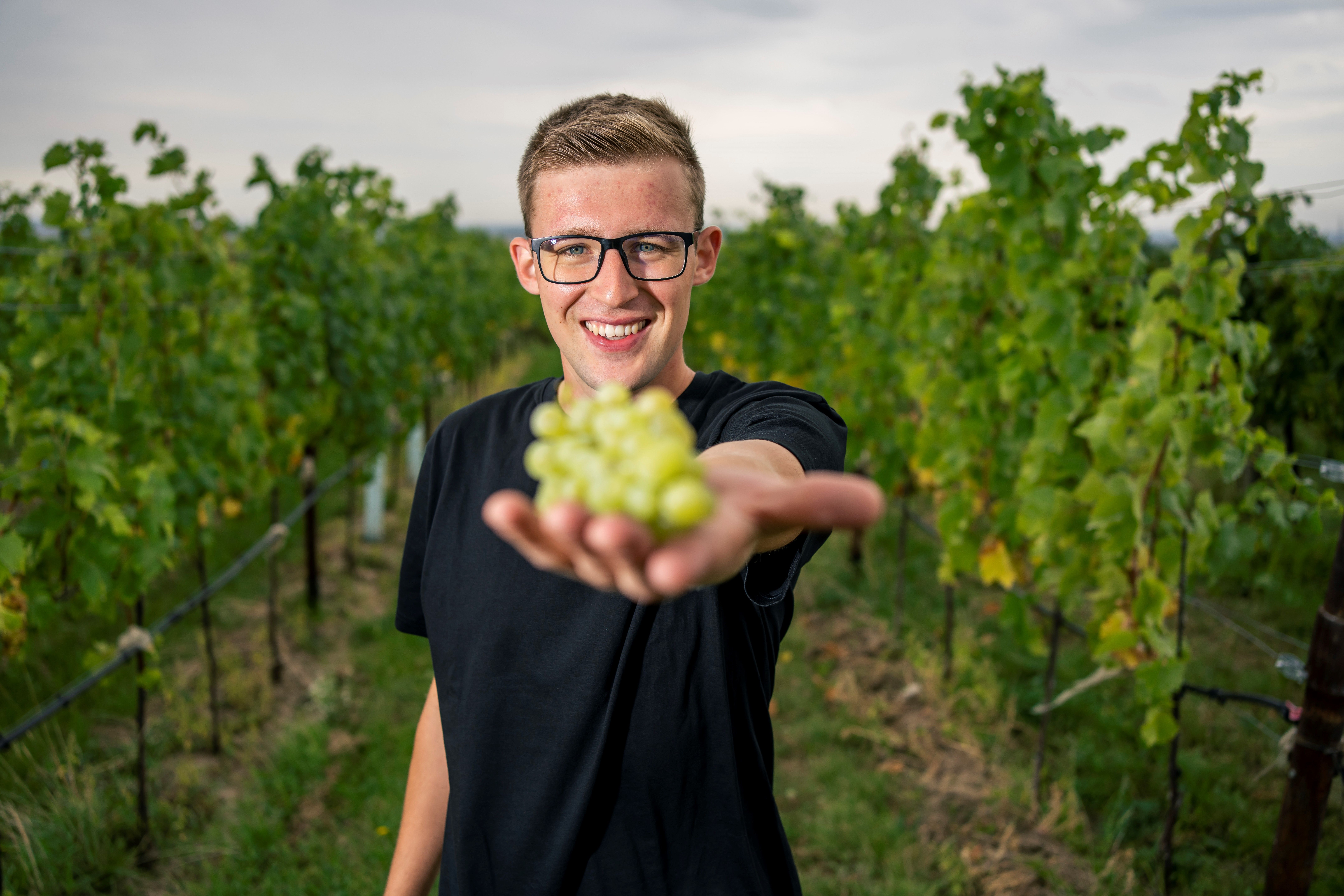 Ein Mann in einem Weinberg hält eine Traube in die Kamera.