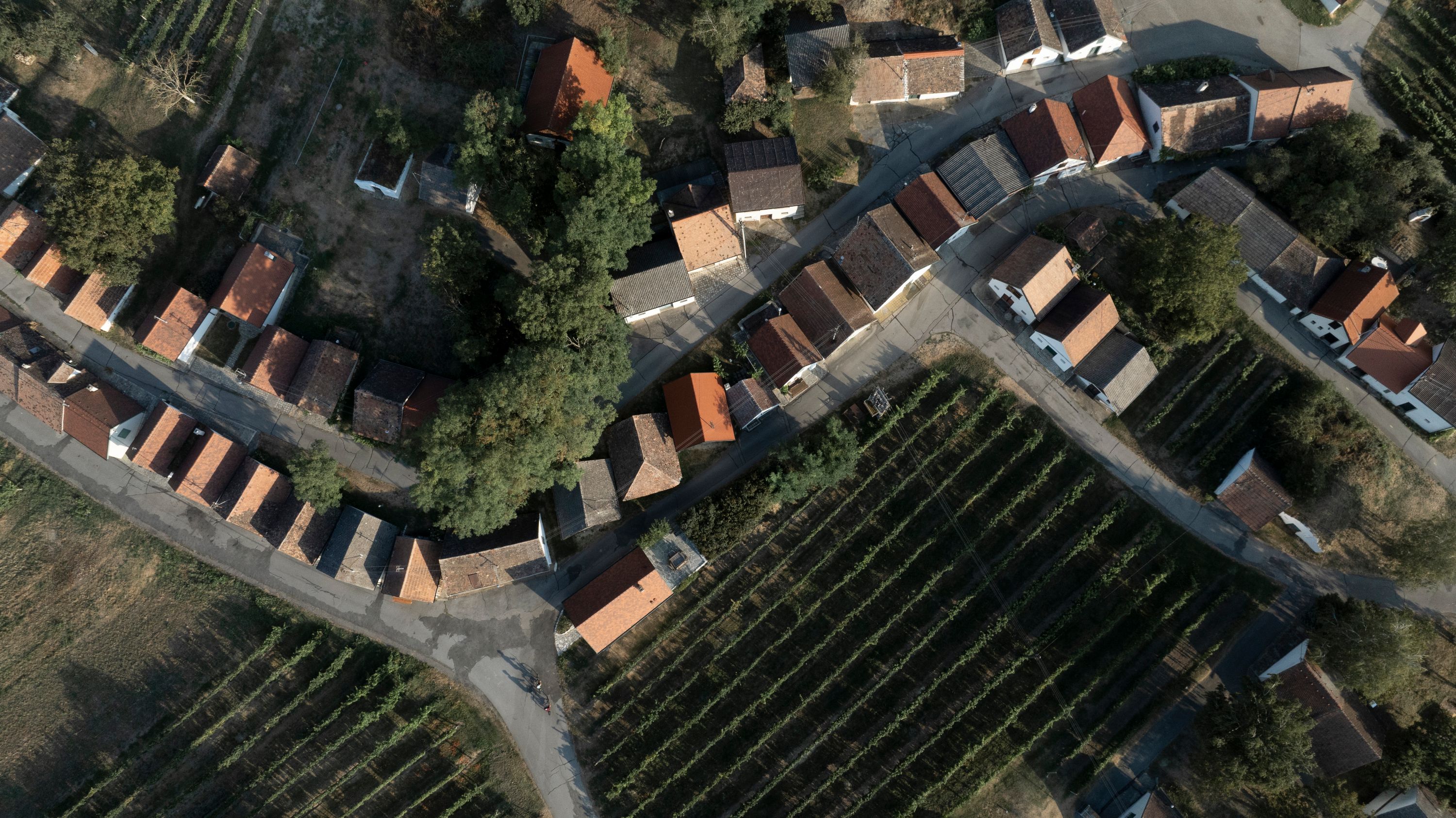 Luftaufnahme einer Kellergasse mit Weinbergen und kleinen Häusern.