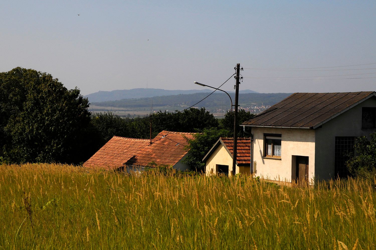 Ländliche Szene mit Häusern und Feldern in Großebersdorf.
