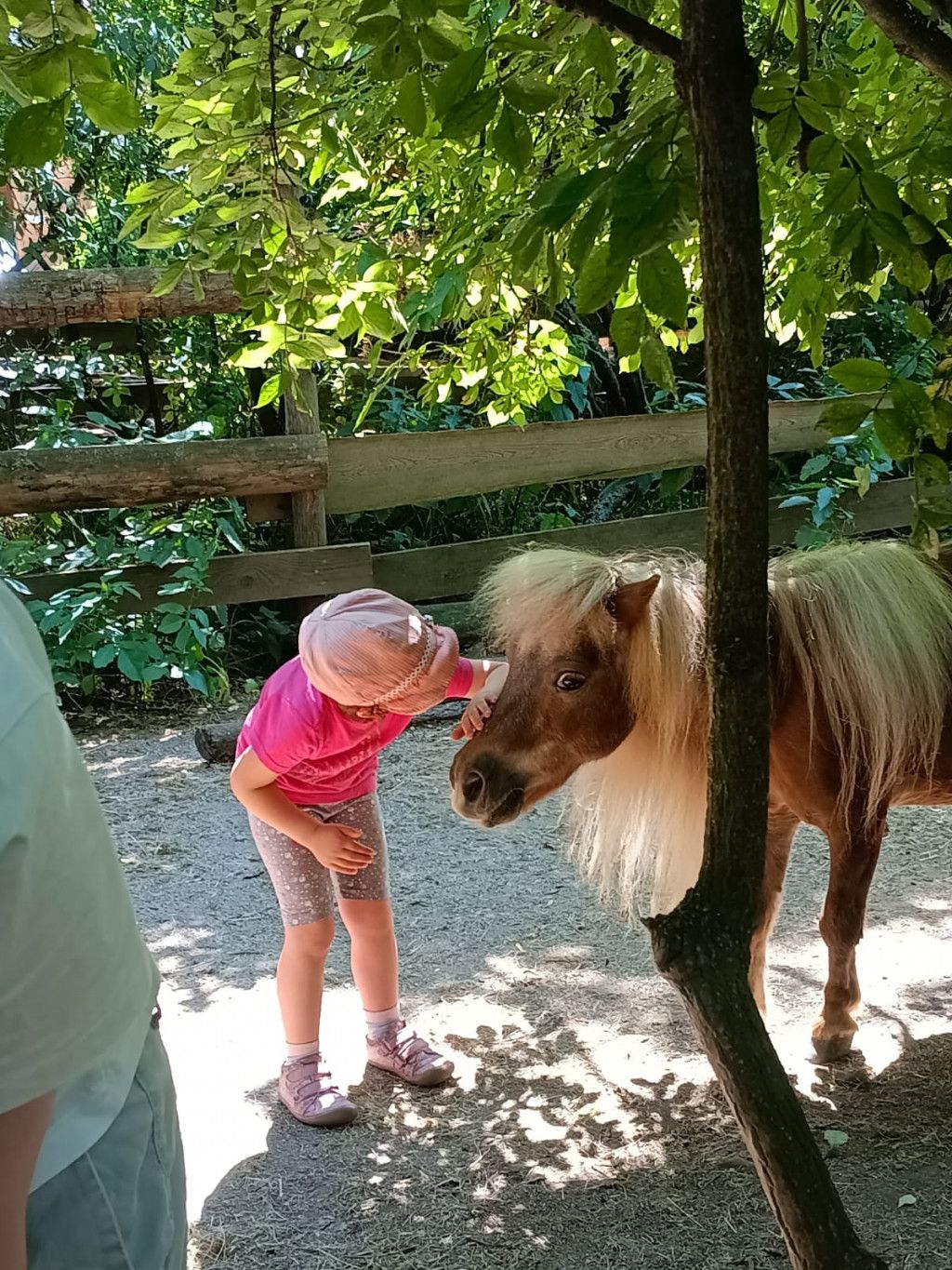 Neue Freunde auf vier Beinen