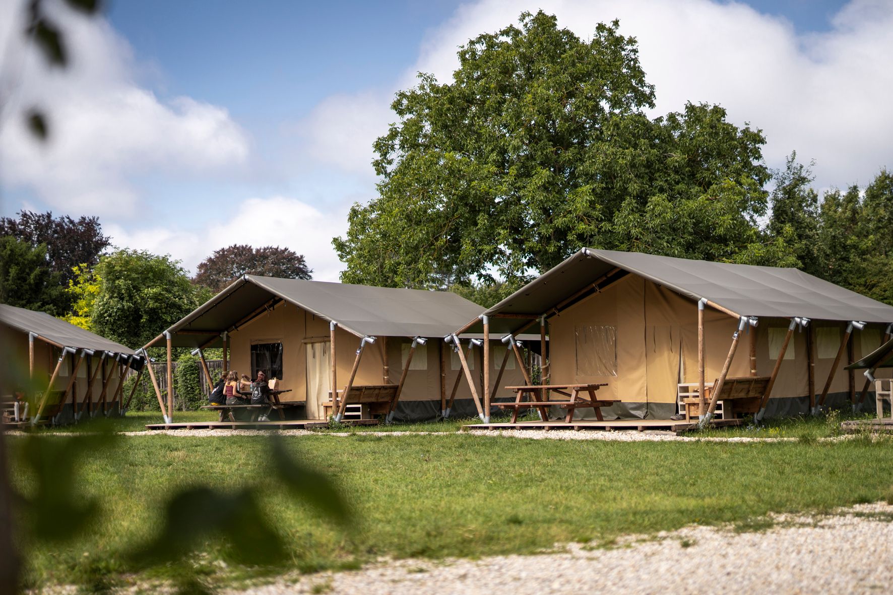 Zelte im Nationalparkcamp Meierhof mit Picknicktischen und Bäumen im Hintergrund.