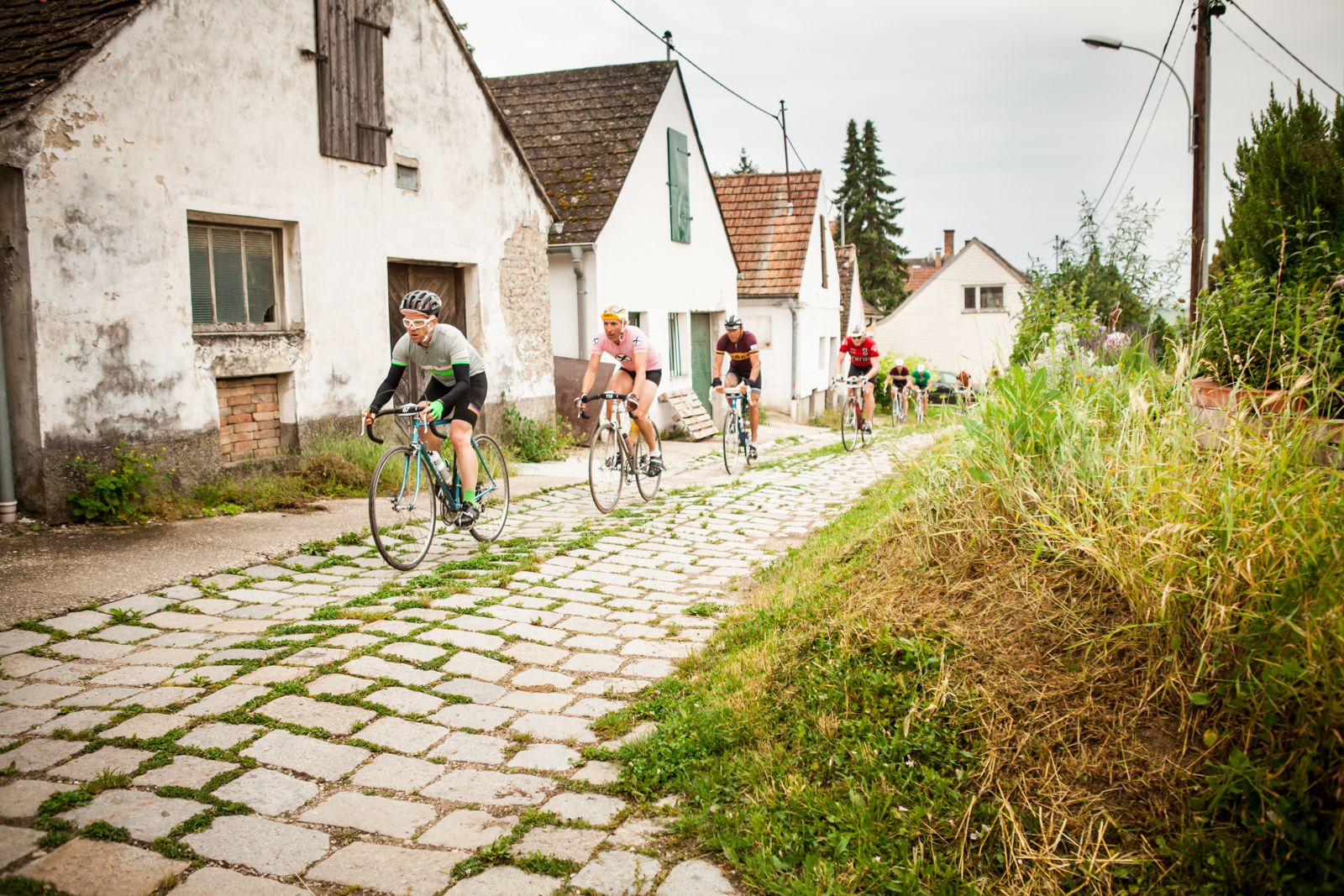 Radfahrer radeln in einer Kellergasse mit Kopfsteinpflaster vorbei an Presshäusern.