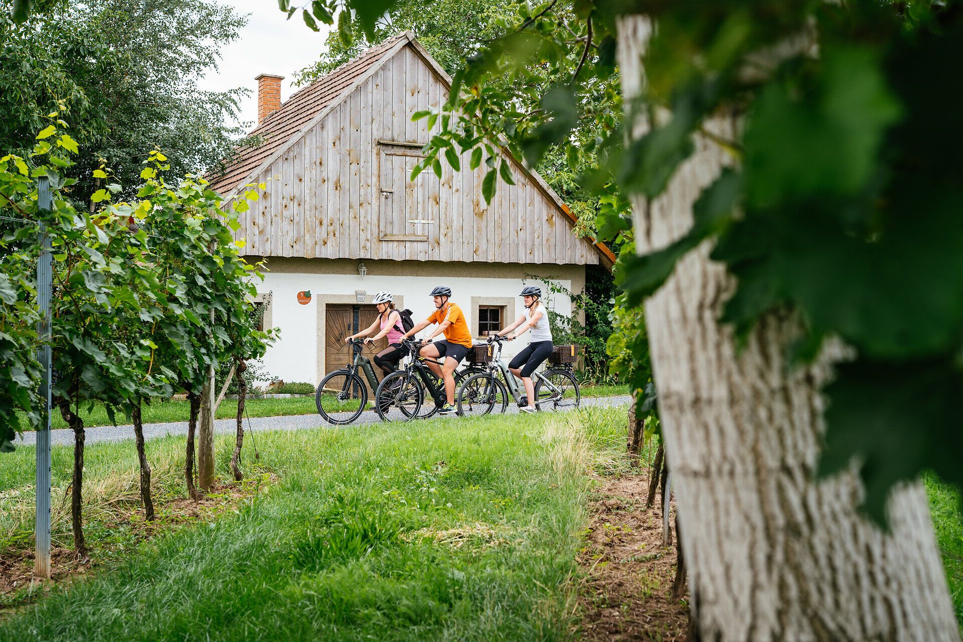 In der malerischen Kellergasse von Waltersdorf genießen Radfahrer eine wohlverdiente Pause. Umgeben von üppigen Weinreben und der sanften Hügellandschaft, strahlt die Atmosphäre Ruhe und Freude aus. Hier wird der Sommer in vollen Zügen erlebt, während die frische Luft und die Natur zum Verweilen einladen.