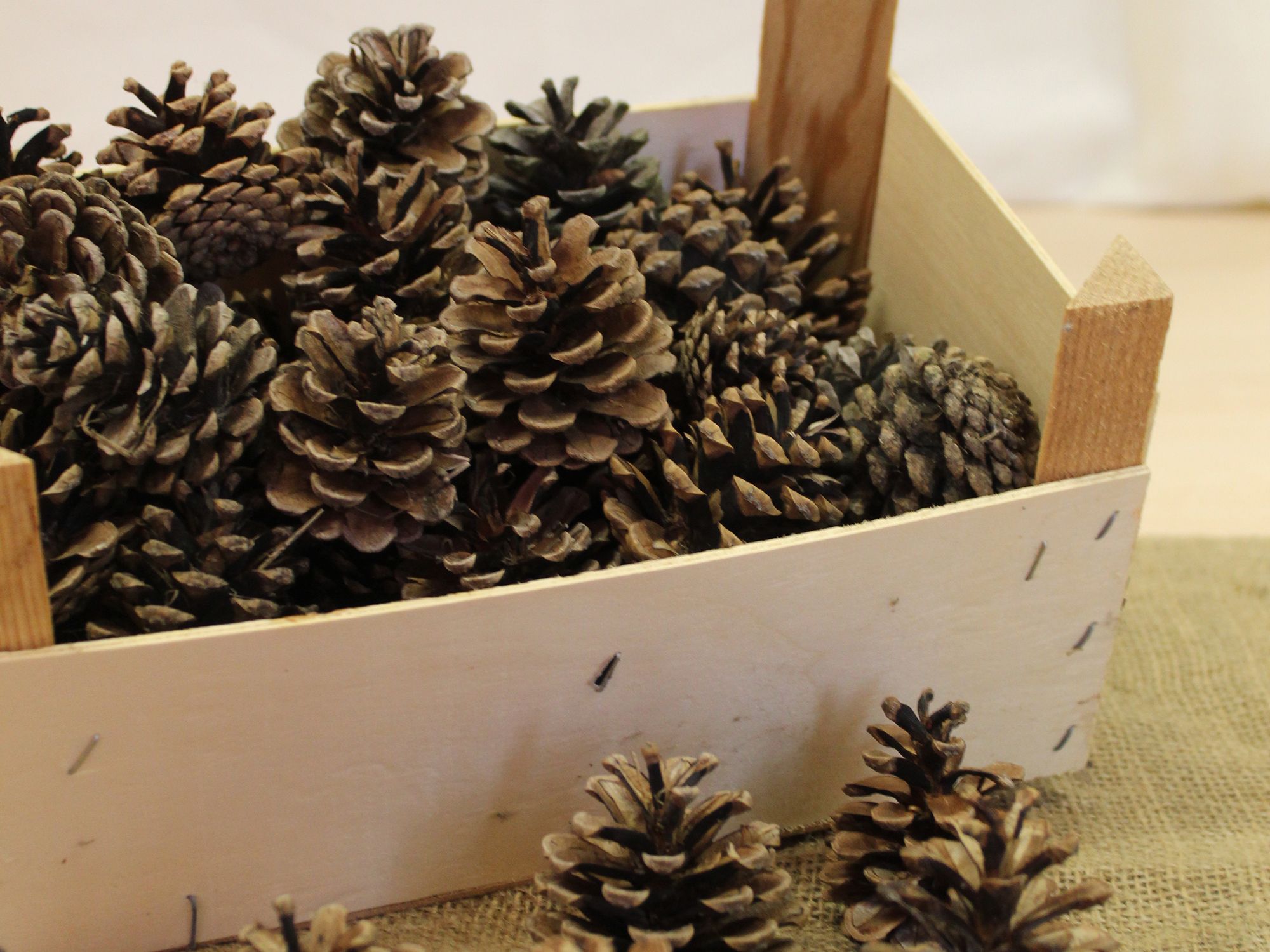 Eine Holzbox ist mit Tannenzapfen gefüllt.
