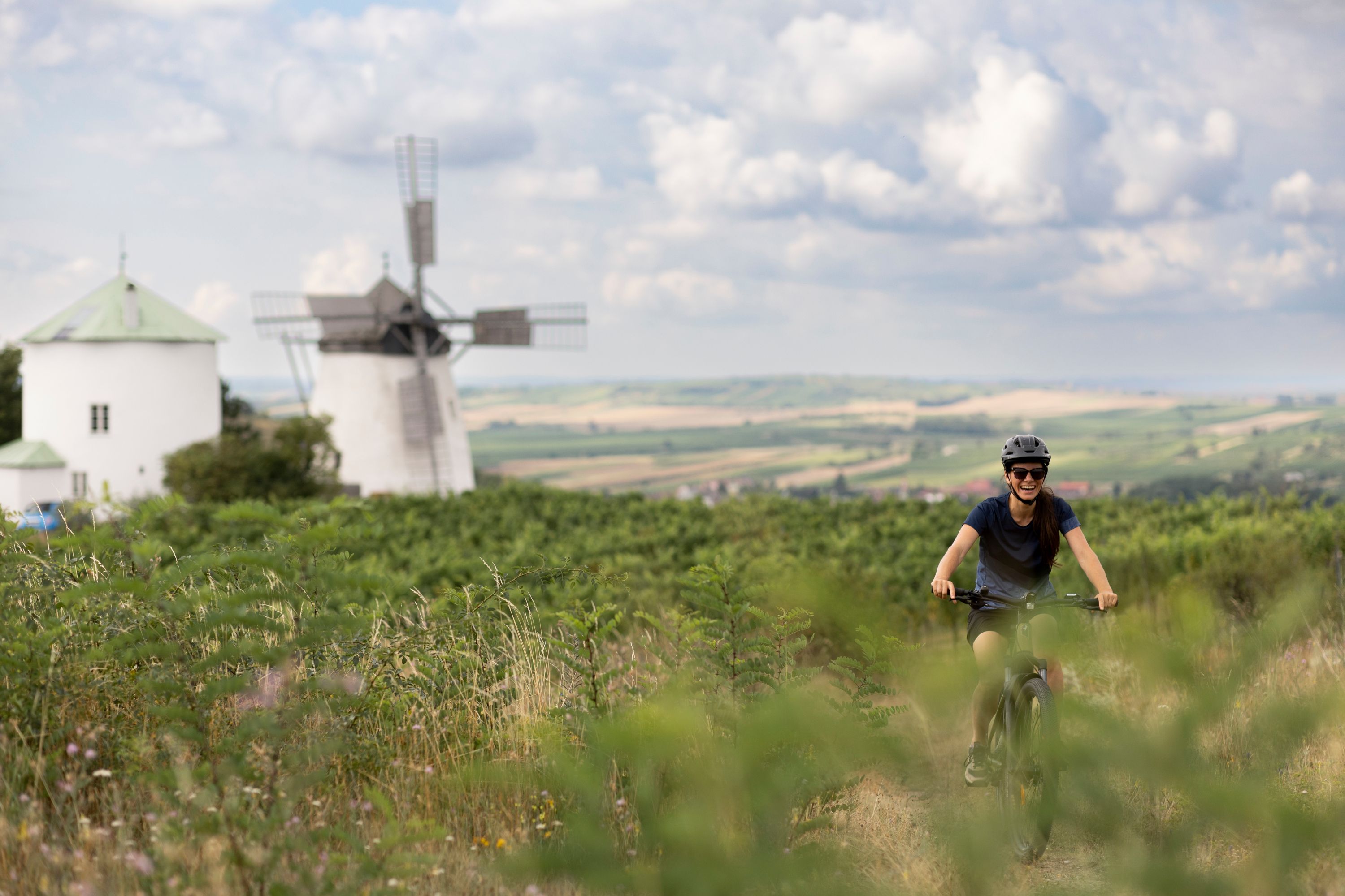 A person rides a bicycle through a green landscape with a windmill in the background.