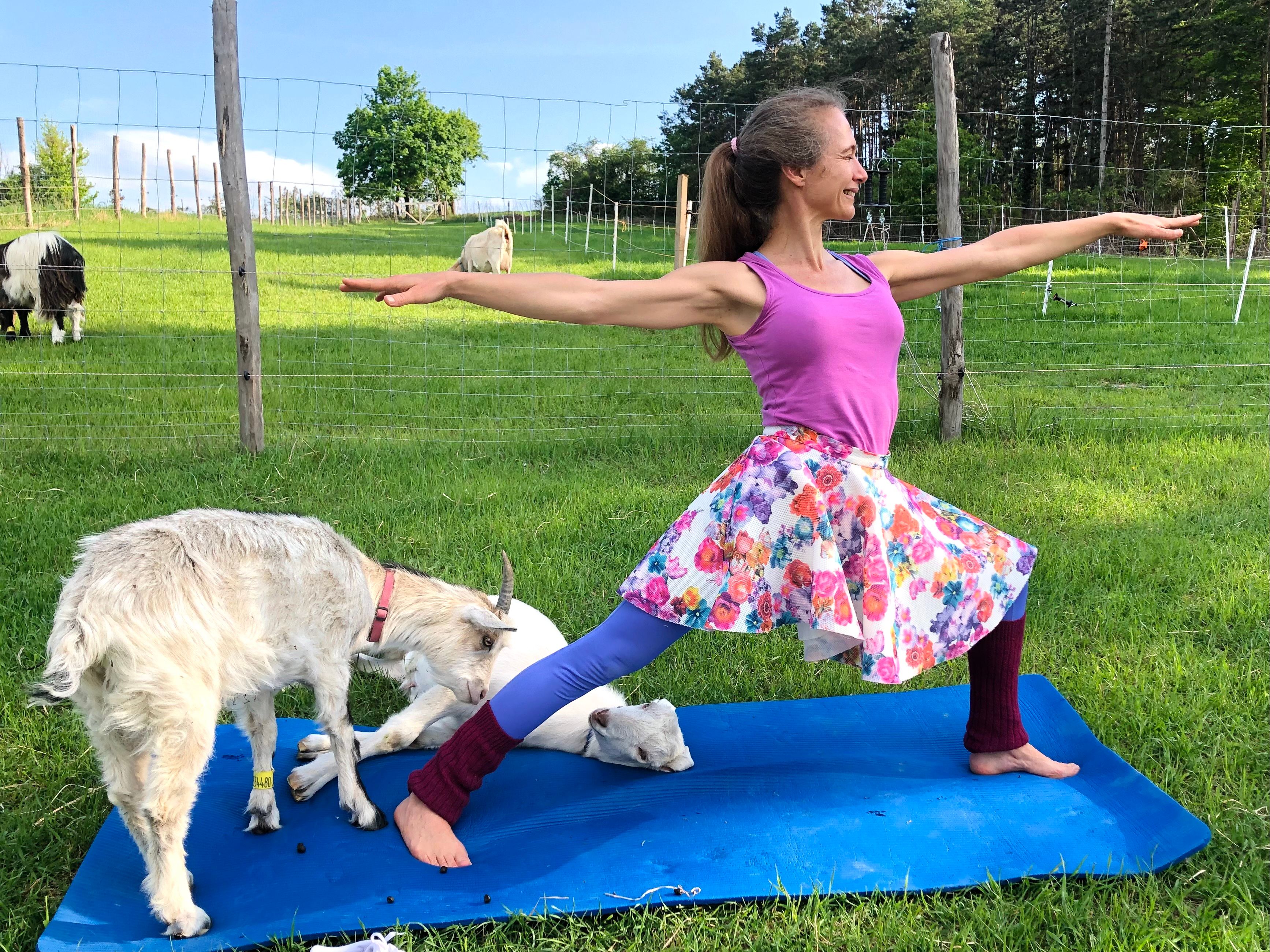 Frau macht Yoga-Pose auf Matte im Freien mit Ziegen um sie herum.