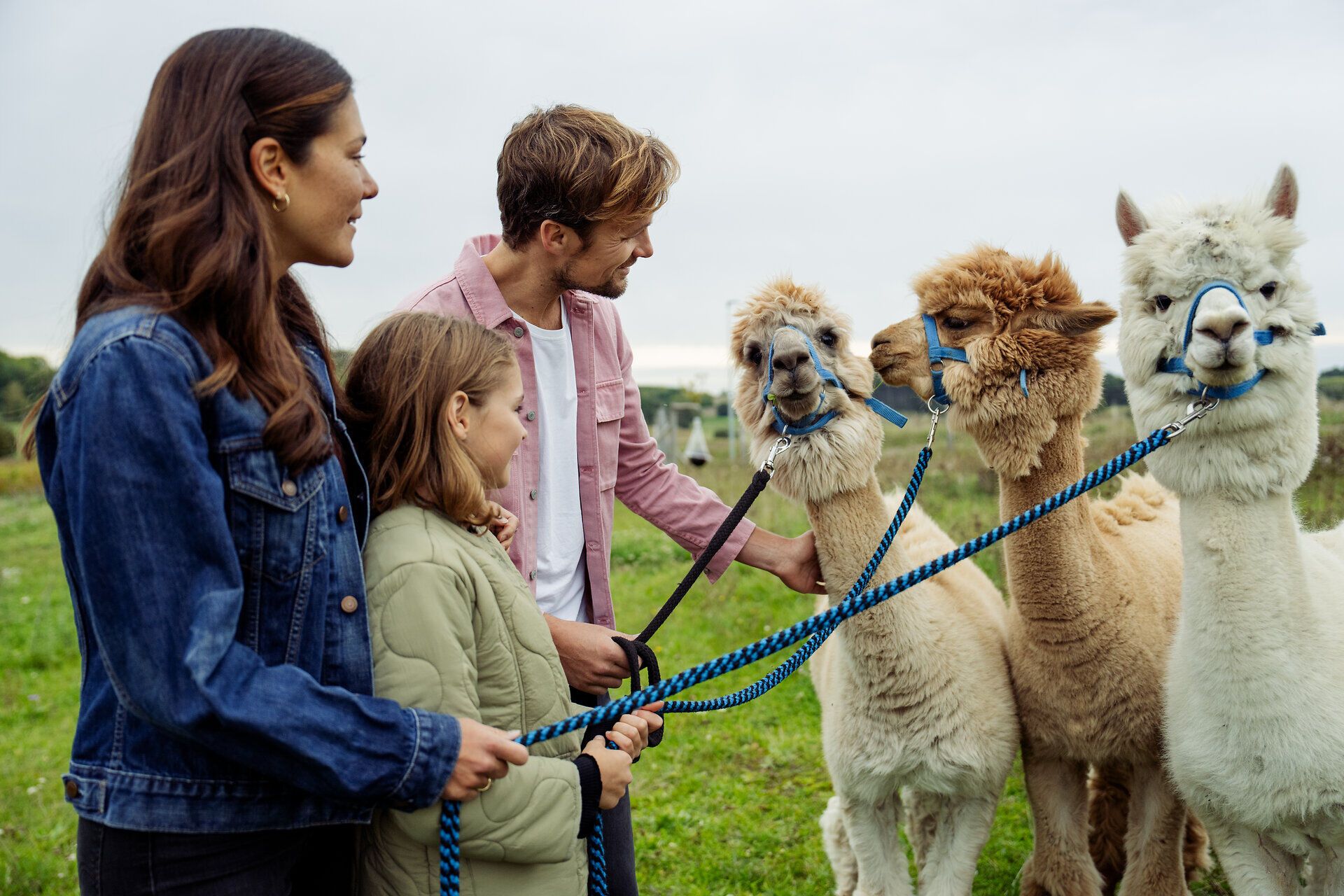 Eine Familie genießt einen unvergesslichen Tag in der Natur, während sie liebevoll ihre Alpakas führen. Die sanfte Brise und das Lächeln der Kinder schaffen eine harmonische Atmosphäre, die die Freude am Zusammensein und an den Tieren widerspiegelt.