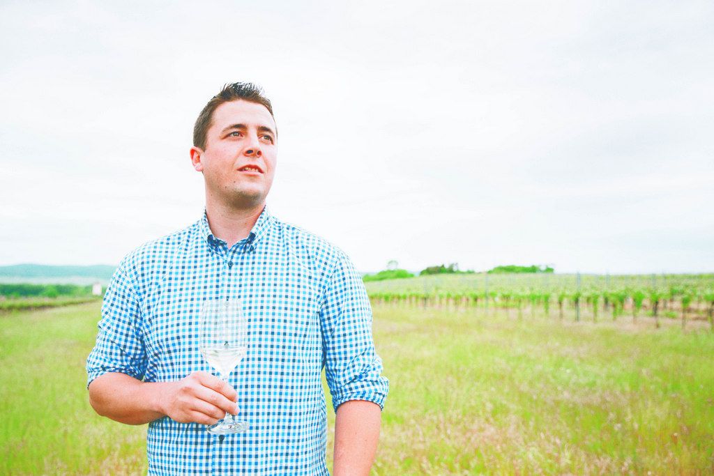 Mann im karierten Hemd hält Weinglas im Weinberg.