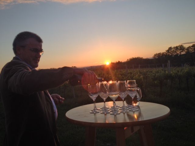 Ein Mann schenkt Wein in Gläser auf einem Tisch bei Sonnenuntergang in einem Weinberg ein.