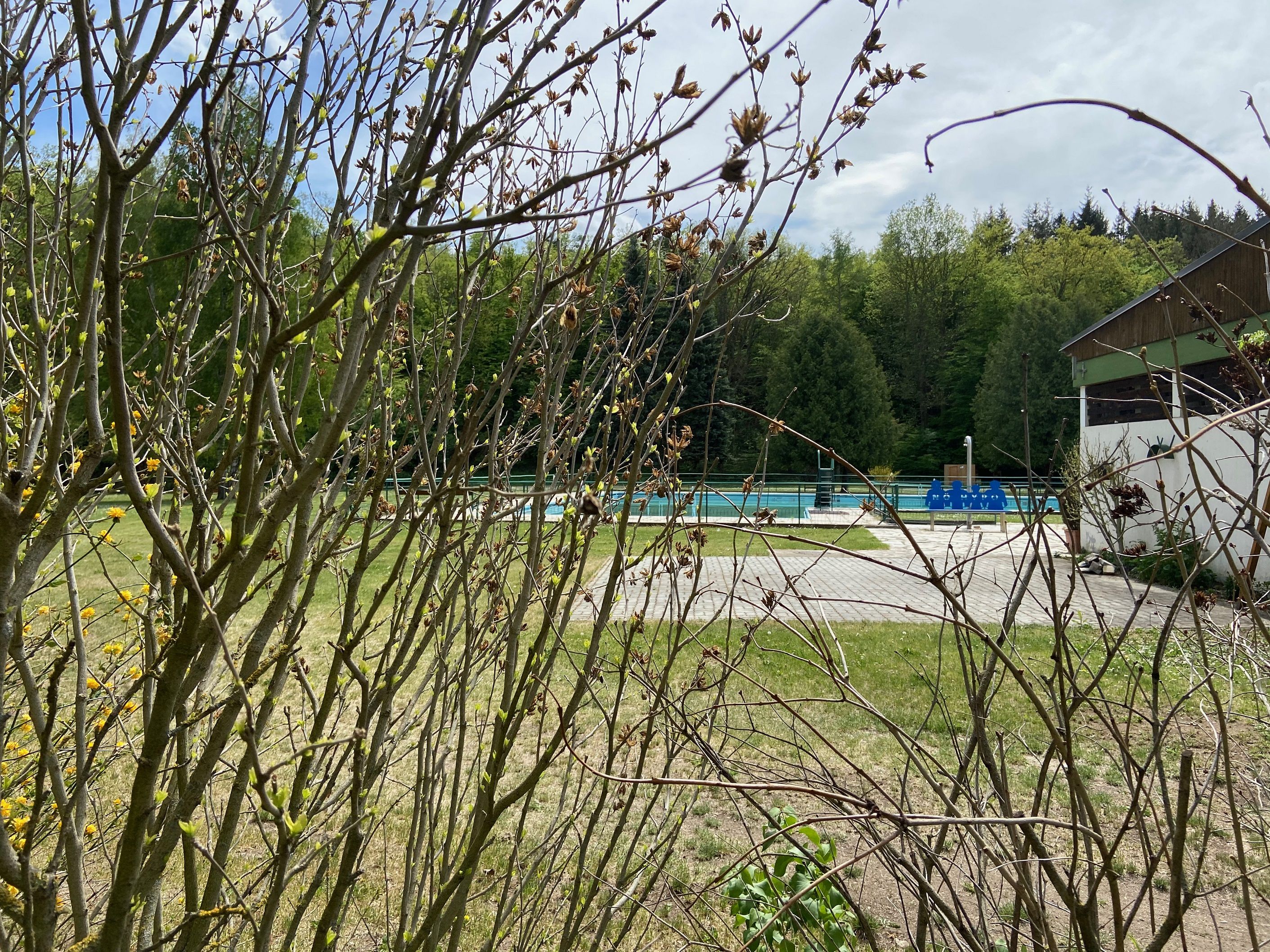 An outdoor pool with empty pools, surrounded by trees and bushes.