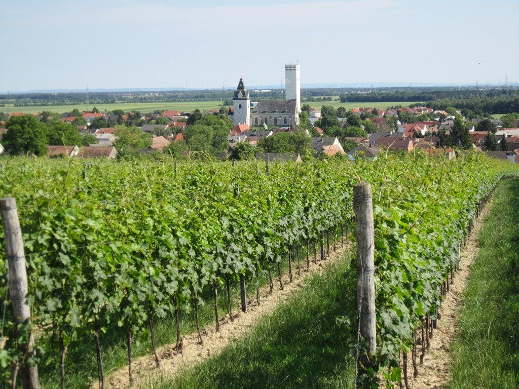 Blick auf Großengersdorf