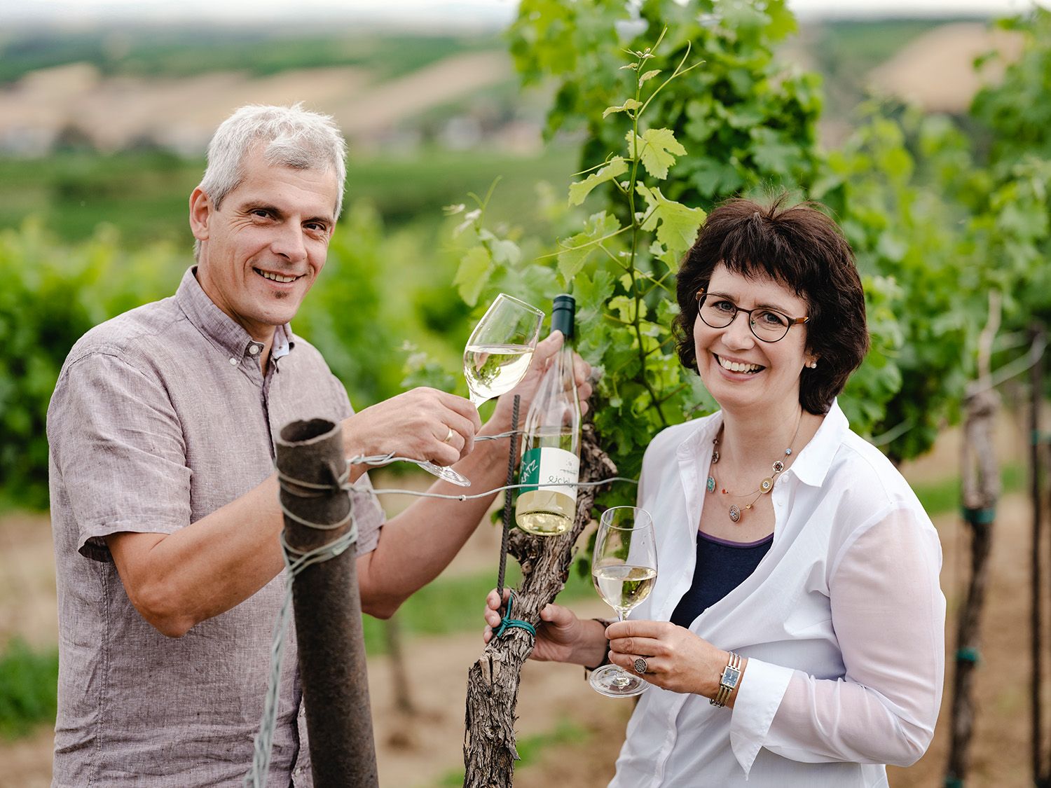Two people clink glasses in a vineyard.