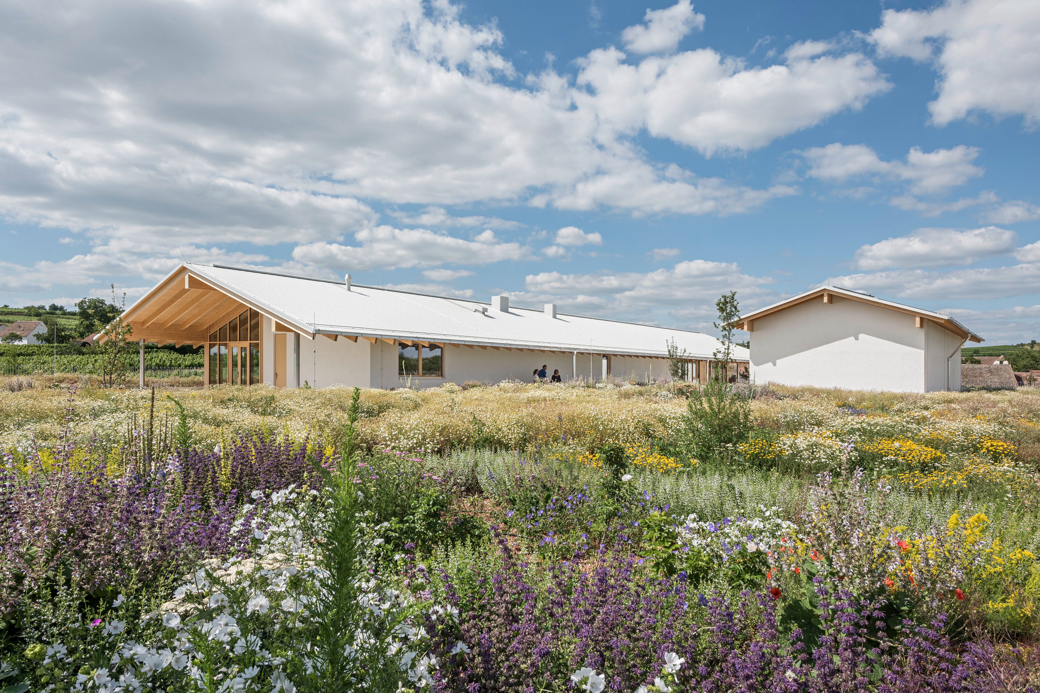 Ein modernes Gebäude mit weißem Dach inmitten einer blühenden Wiese unter blauem Himmel.