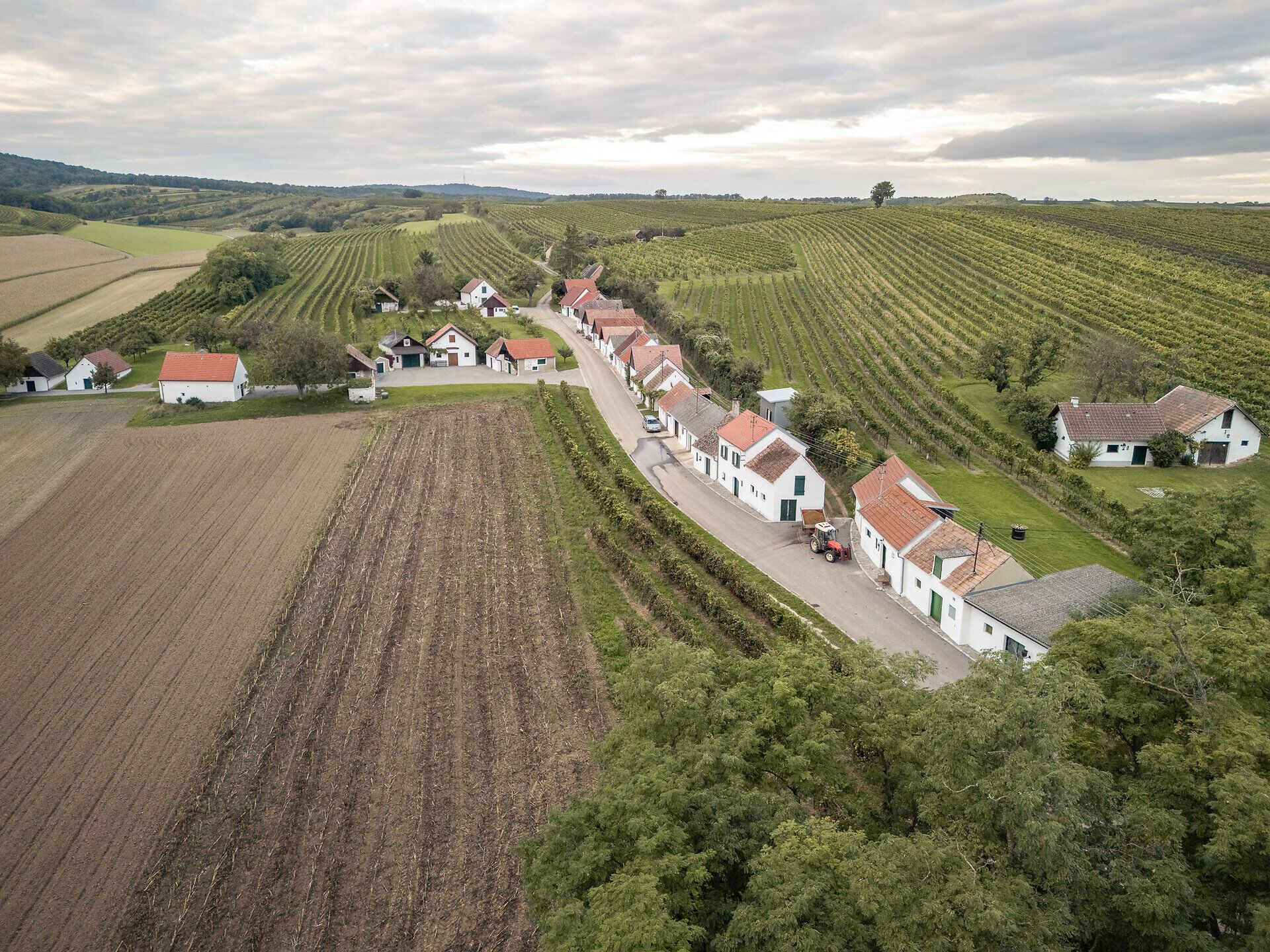 Presshäuser reihen sich zu einer Kellergasse aneinander. Eingebettet ist die Kellergasse in Weingärten, die sich im Hintergrund über die sanften Hügel erstrecken.
