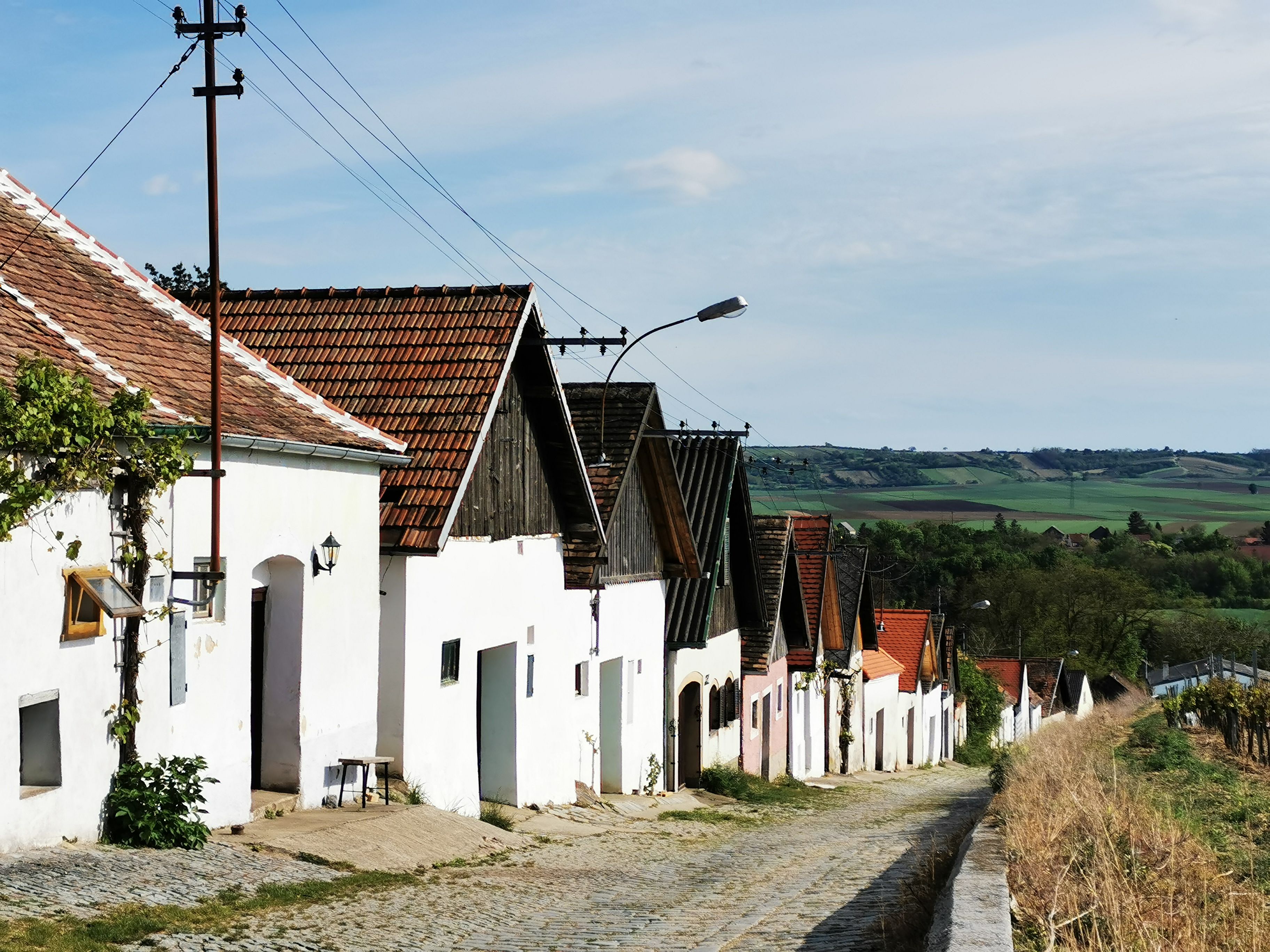 Row of wine cellars in Haugsdorf with red roofs and white façades, surrounded by green countryside.