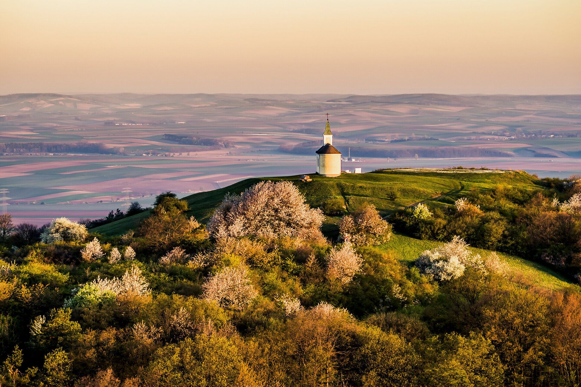 Die sanften Hügel des Weinviertels erblühen im Frühling und bieten ein atemberaubendes Panorama. Die blühenden Bäume und die sanften Wiesen laden zu einem entspannenden Spaziergang ein, während die frische Luft die Sinne belebt.