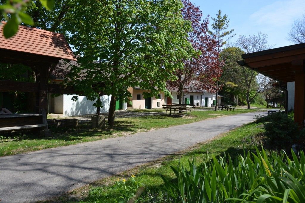 Schricker Holitsch