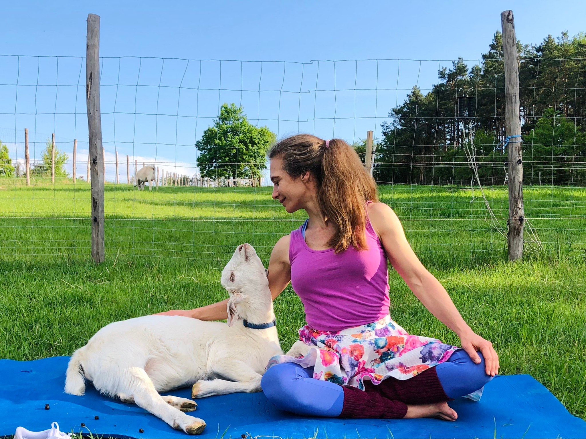 Frau in bunter Kleidung sitzt auf einer Wiese neben einer Ziege.