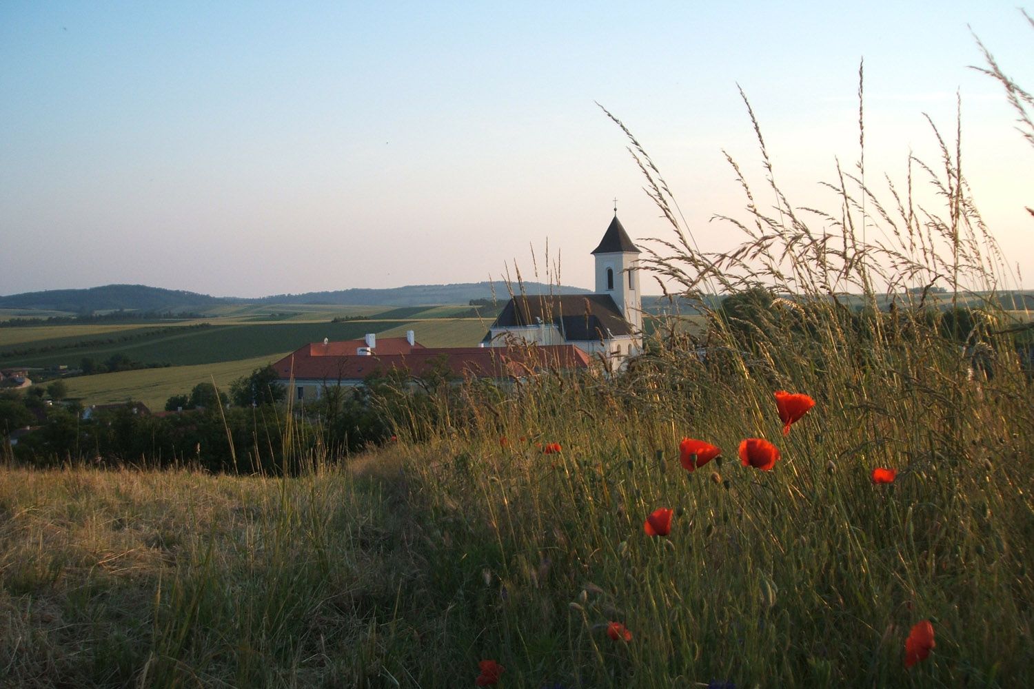 Landschaft mit Kirche und Mohnblumen im Vordergrund.