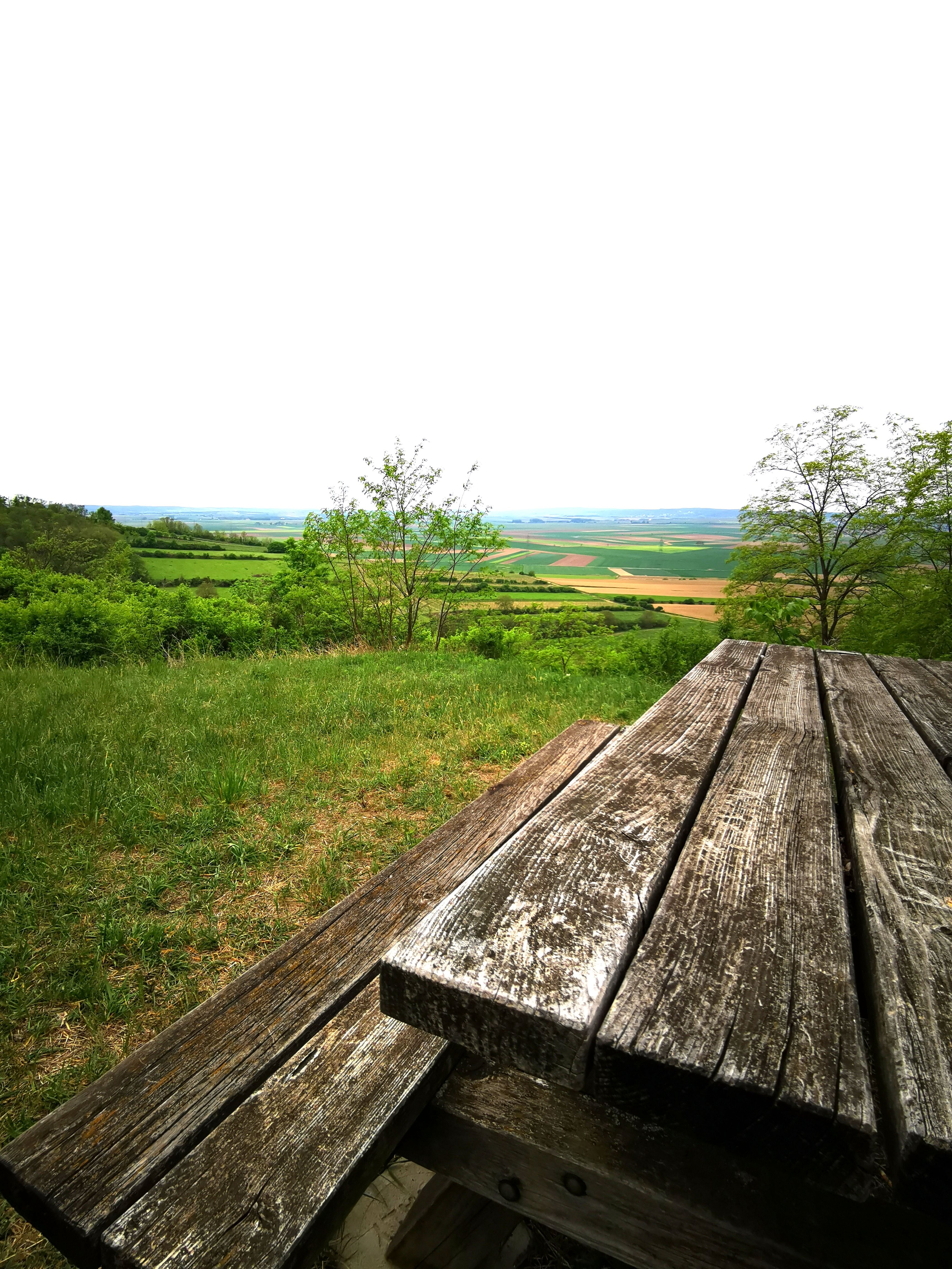 Holztisch mit Blick auf grüne Felder und Bäume im Weinviertel.