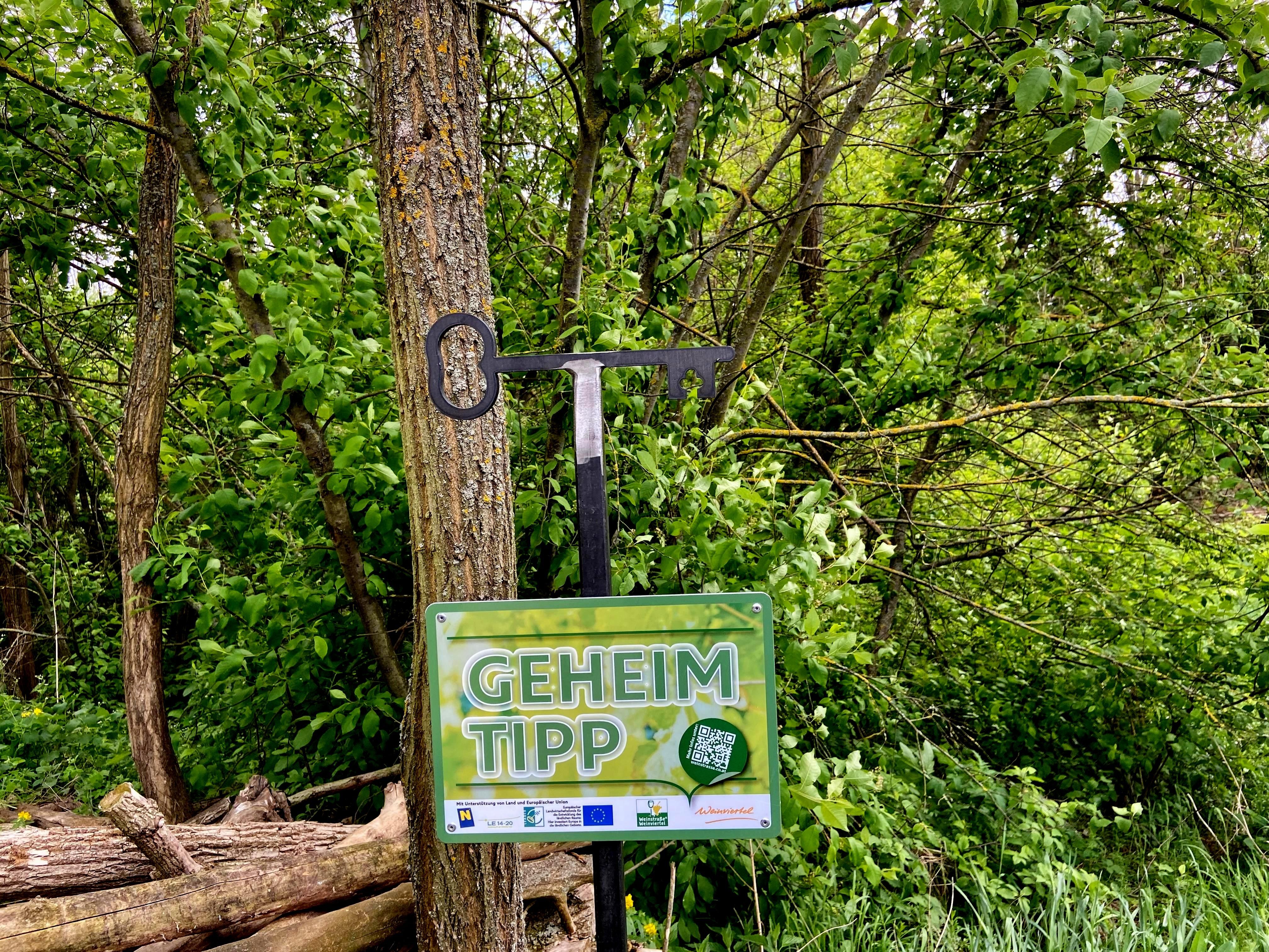 Ein Schild mit der Aufschrift 'Geheimtipp' vor einem Baum in einem Waldgebiet.