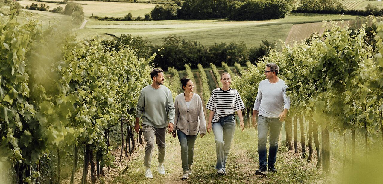 Ein entspannter Spaziergang durch die sanften Weinreben lädt dazu ein, die frische Luft und die malerische Landschaft zu genießen. Die Gruppe von Freunden lacht und plaudert, während sie die Schönheit der Natur und die köstlichen Weine der Region entdecken. Ein perfekter Tag, um die Seele baumeln zu lassen und die Freude am Weinfrühling zu erleben.