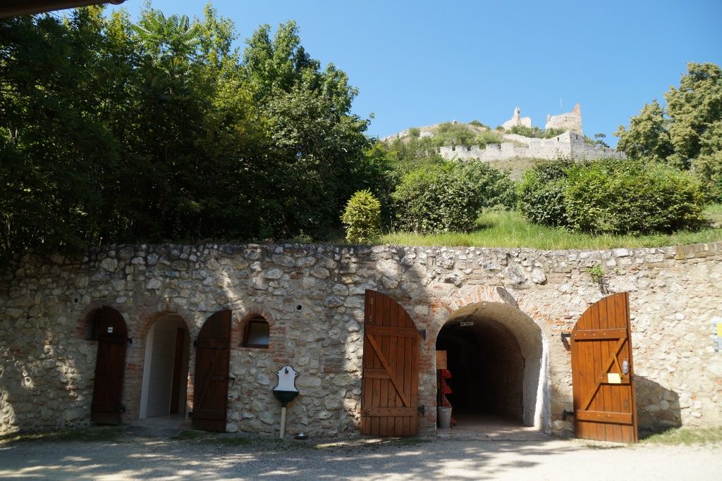 Schlosskeller Staatz